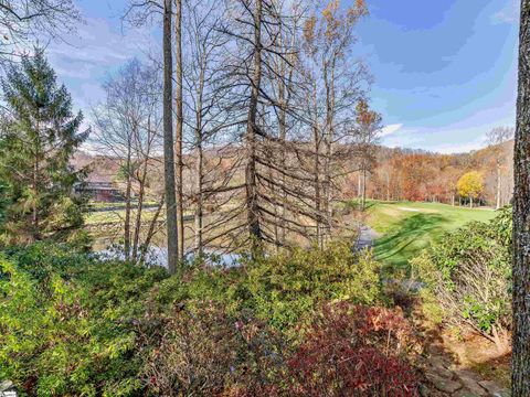 A home in Landrum