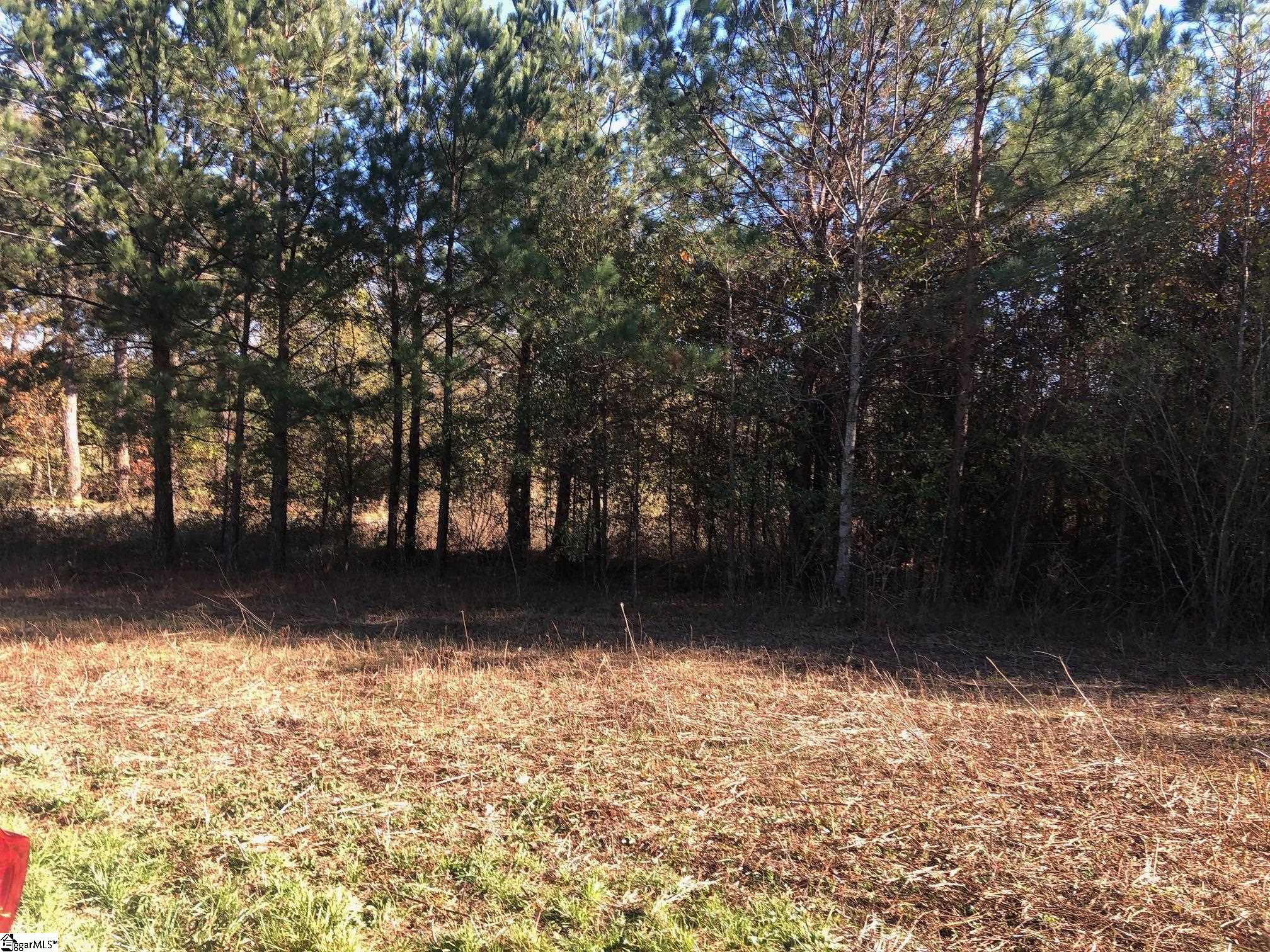 10785 Reidville Road