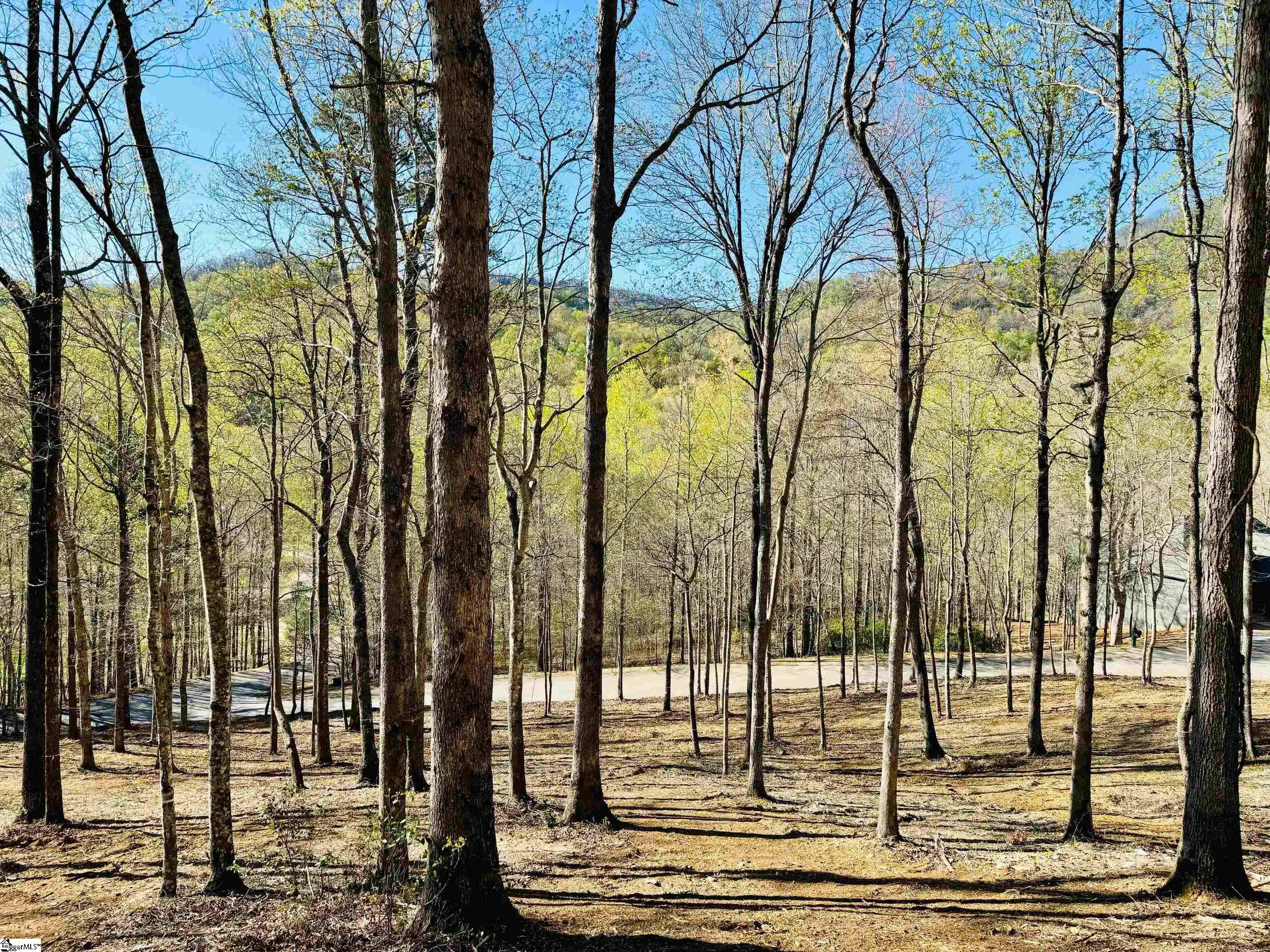 2 Buck Creek Trail