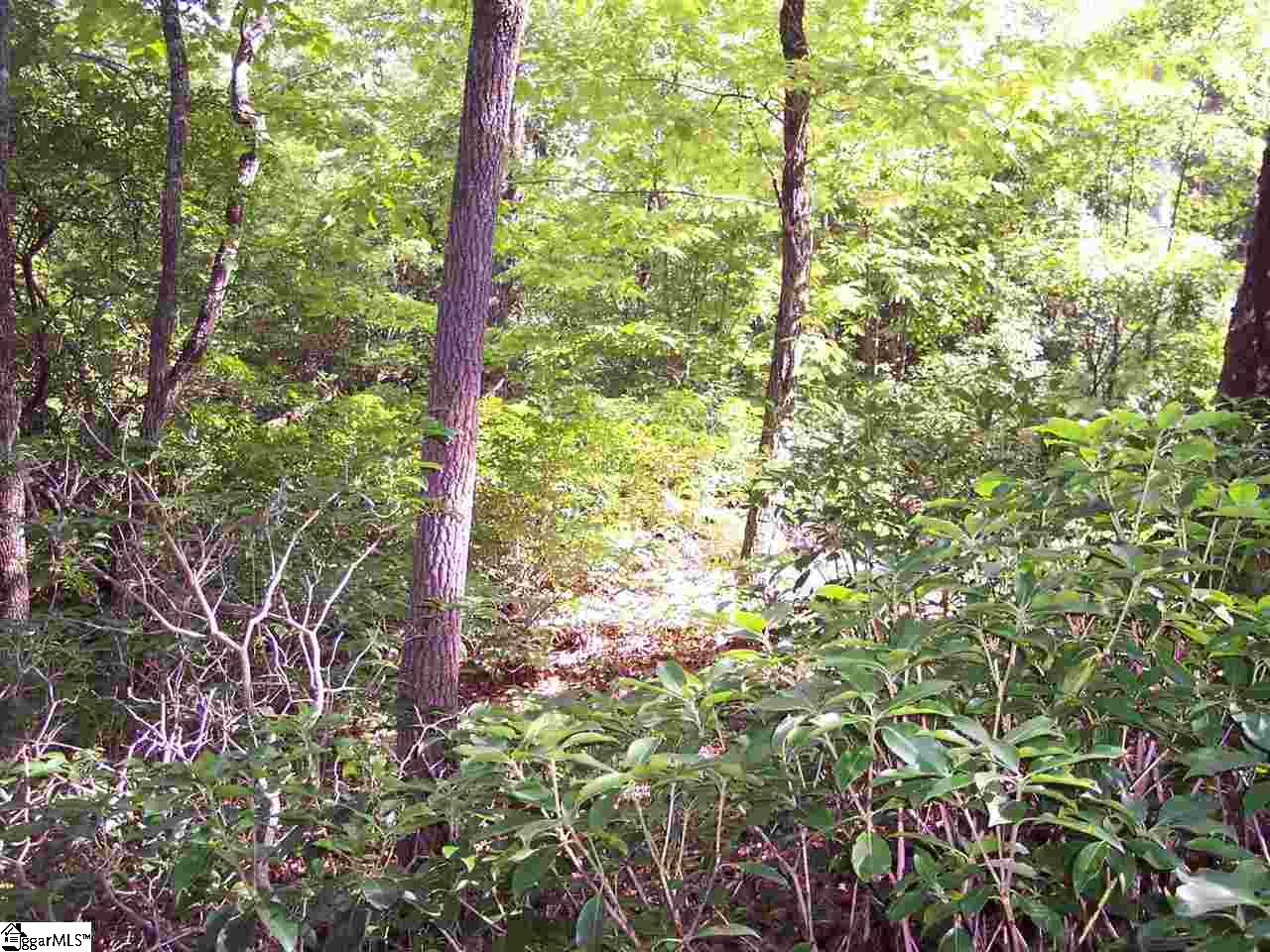 Photo 1 of 20 — 8 Woods Pond Cr Woods Pond Court, Cleveland, SC 29635