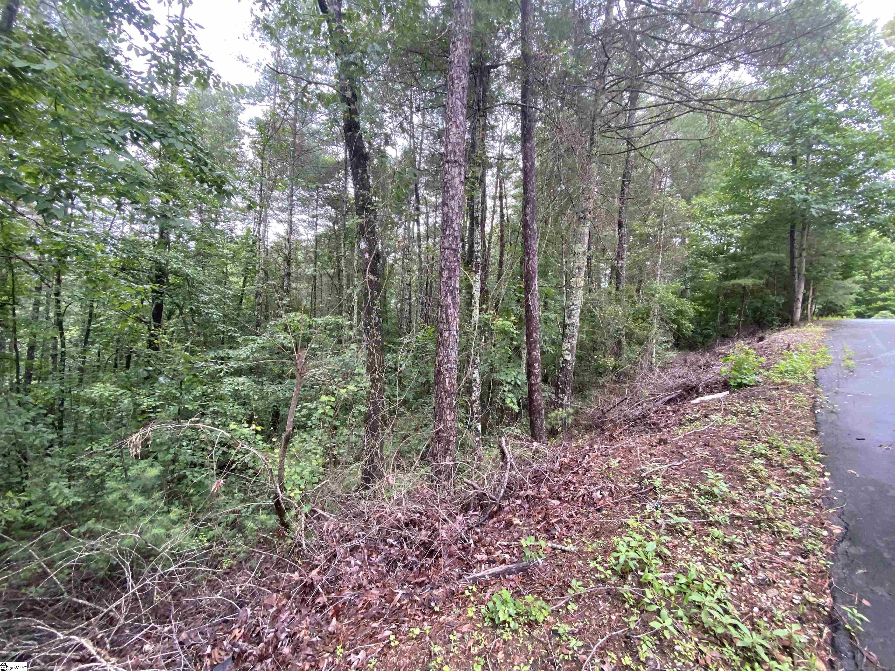 Sunset, South Carolina 29685, United States, ,Land,Active,72430