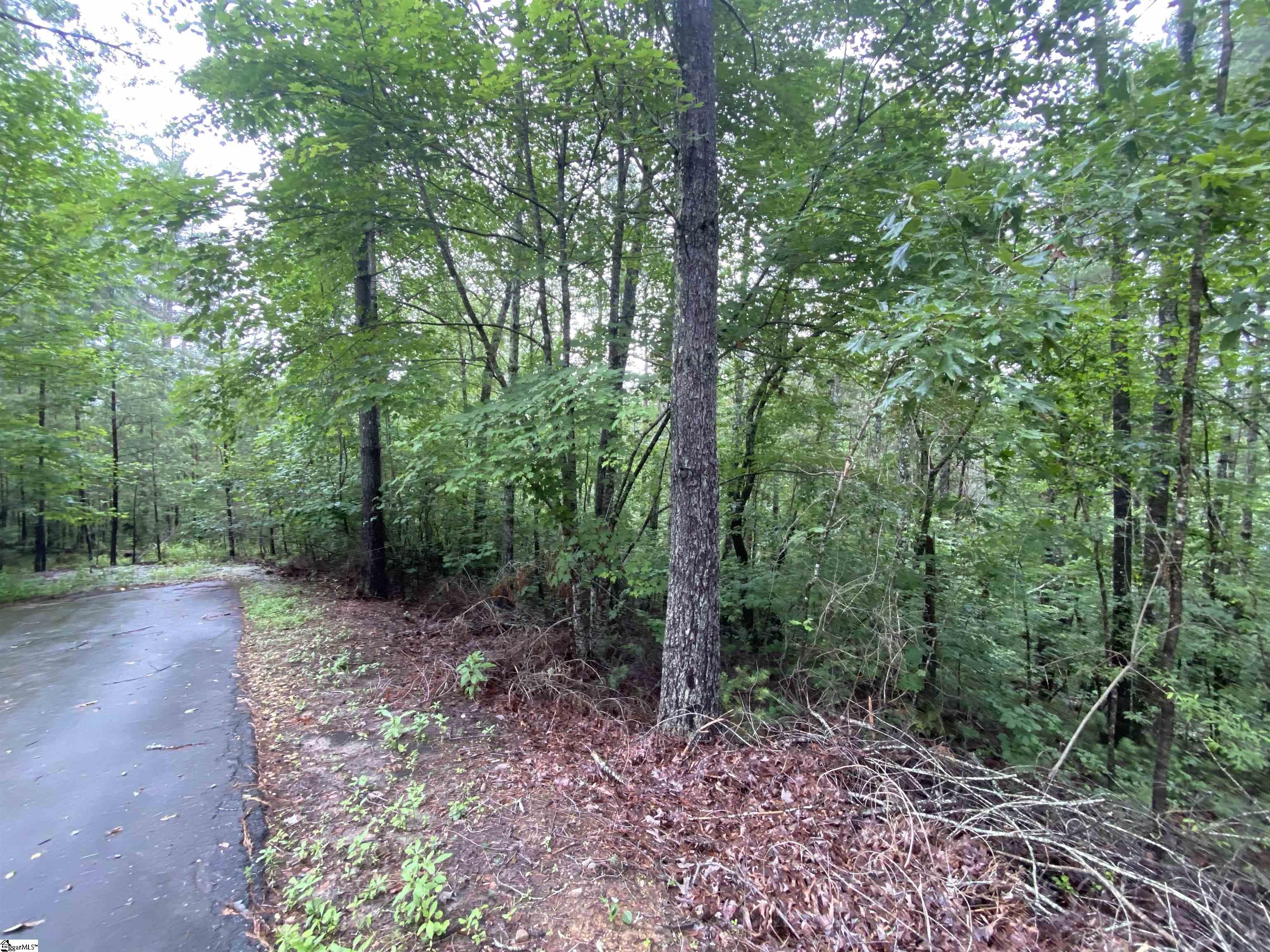 Sunset, South Carolina 29685, United States, ,Land,Active,72430