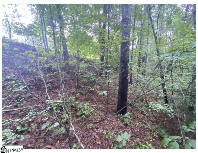 Sunset, South Carolina 29685, United States, ,Land,Active,72430