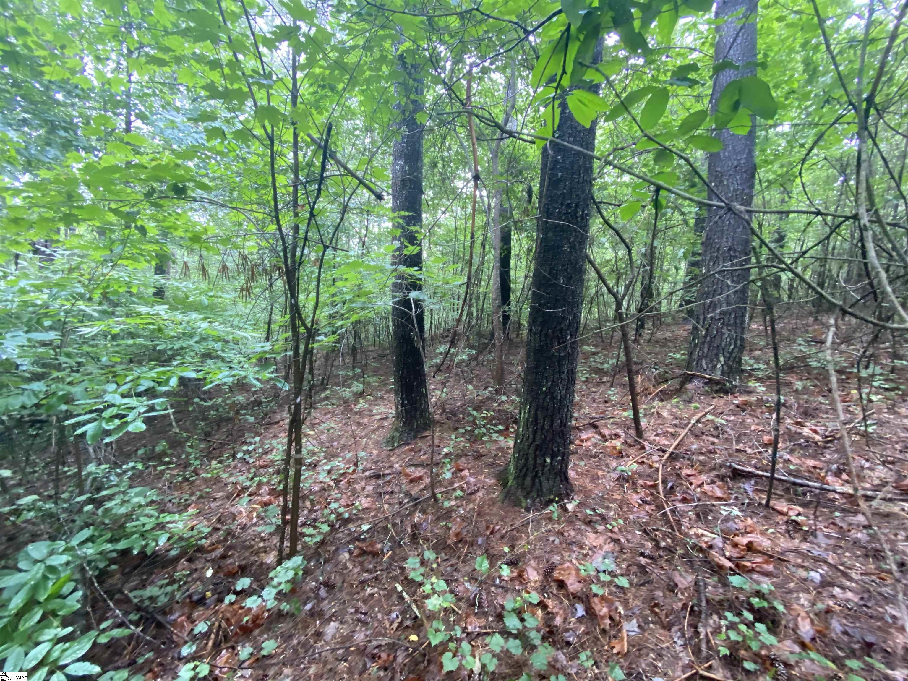 Sunset, South Carolina 29685, United States, ,Land,Active,72430