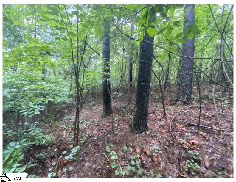 Sunset, South Carolina 29685, United States, ,Land,Active,72430