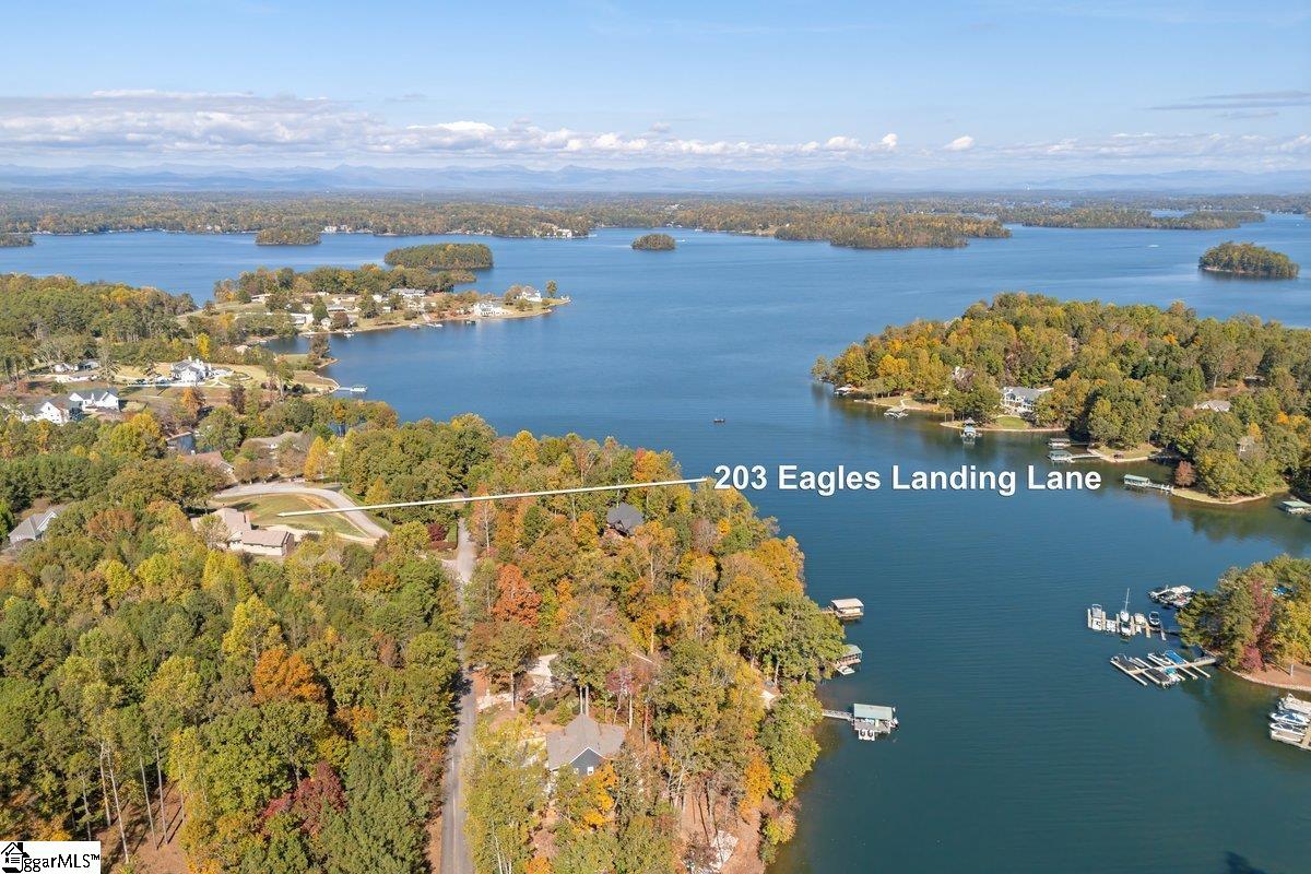 203 Eagles Landing Lane