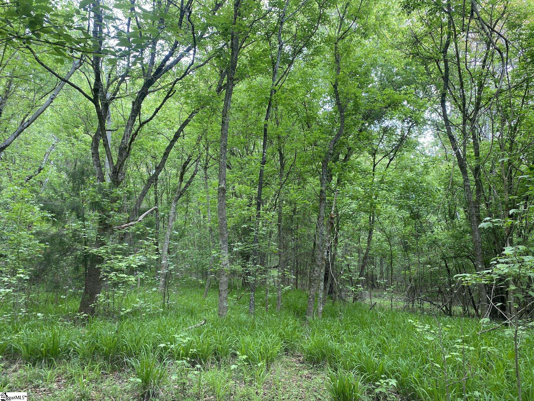 00 Wingo Road