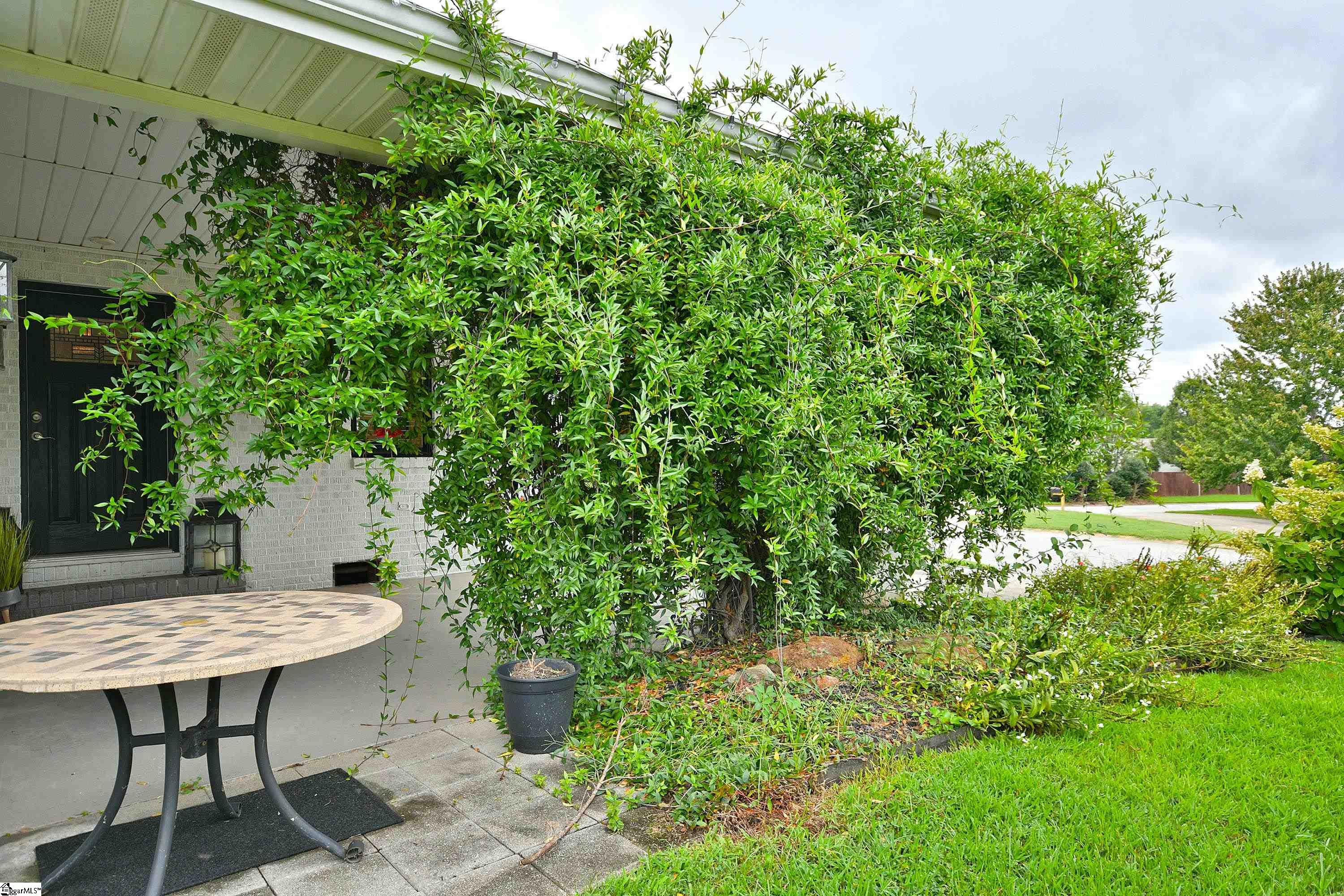 Taylors, South Carolina 29687, United States, 3 Bedrooms Bedrooms, ,2 BathroomsBathrooms,Residential,Contingent,22726