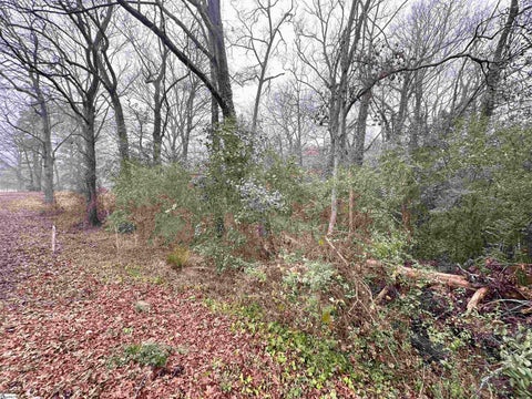 Photo for 307 Lake Forest Road