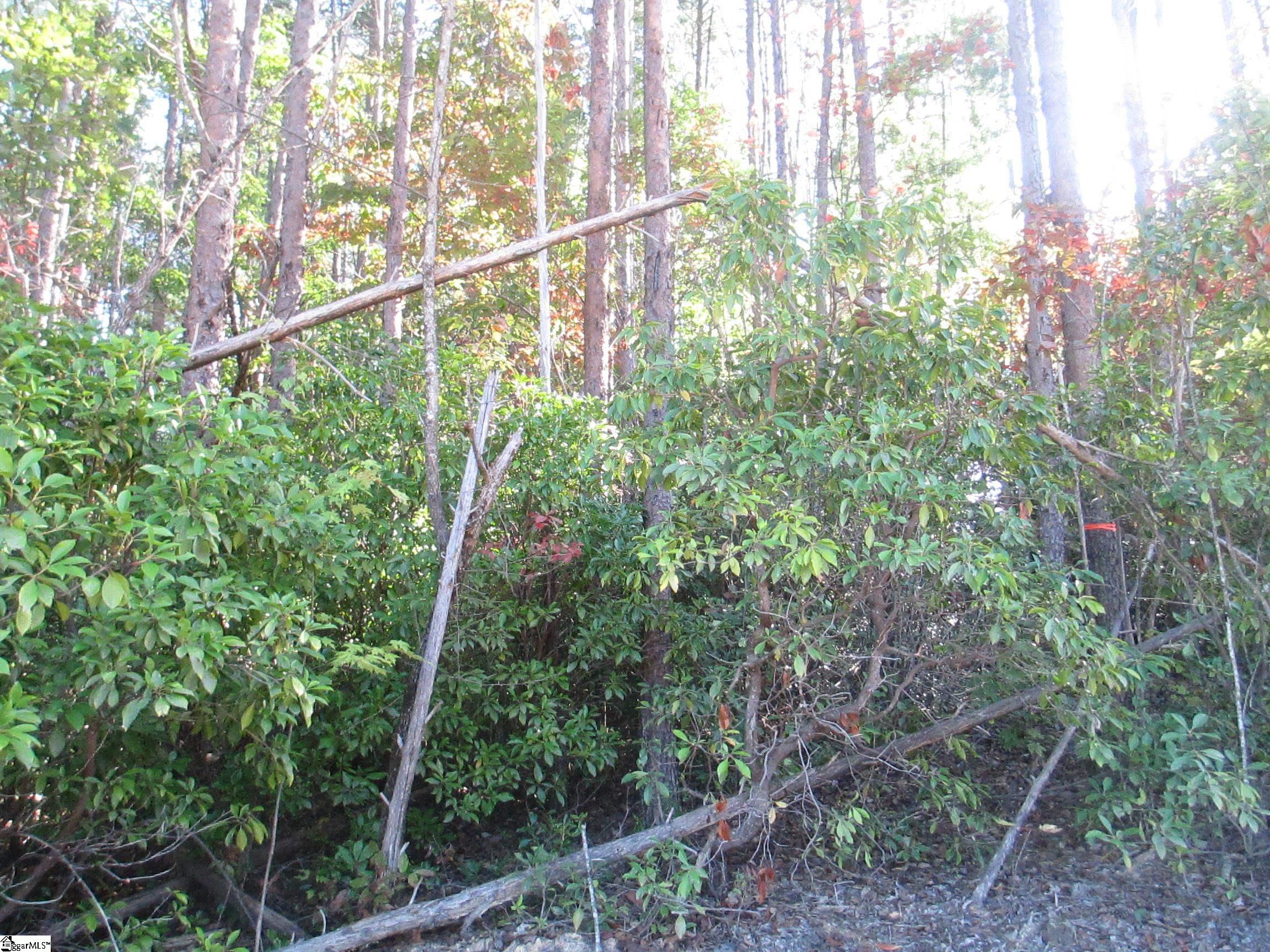 Jocassee Ridge Way Lot E-23