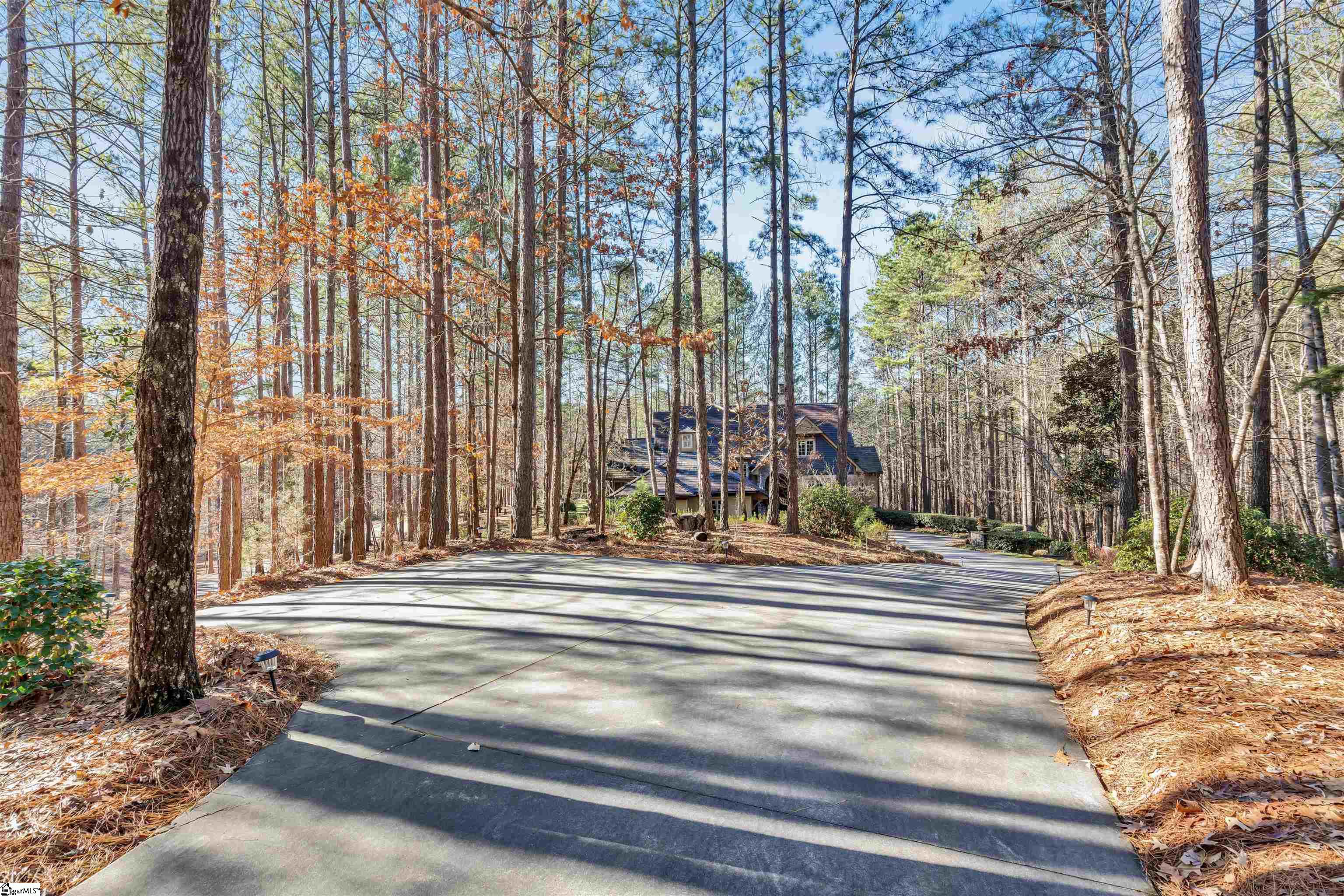 311 Top Ridge
