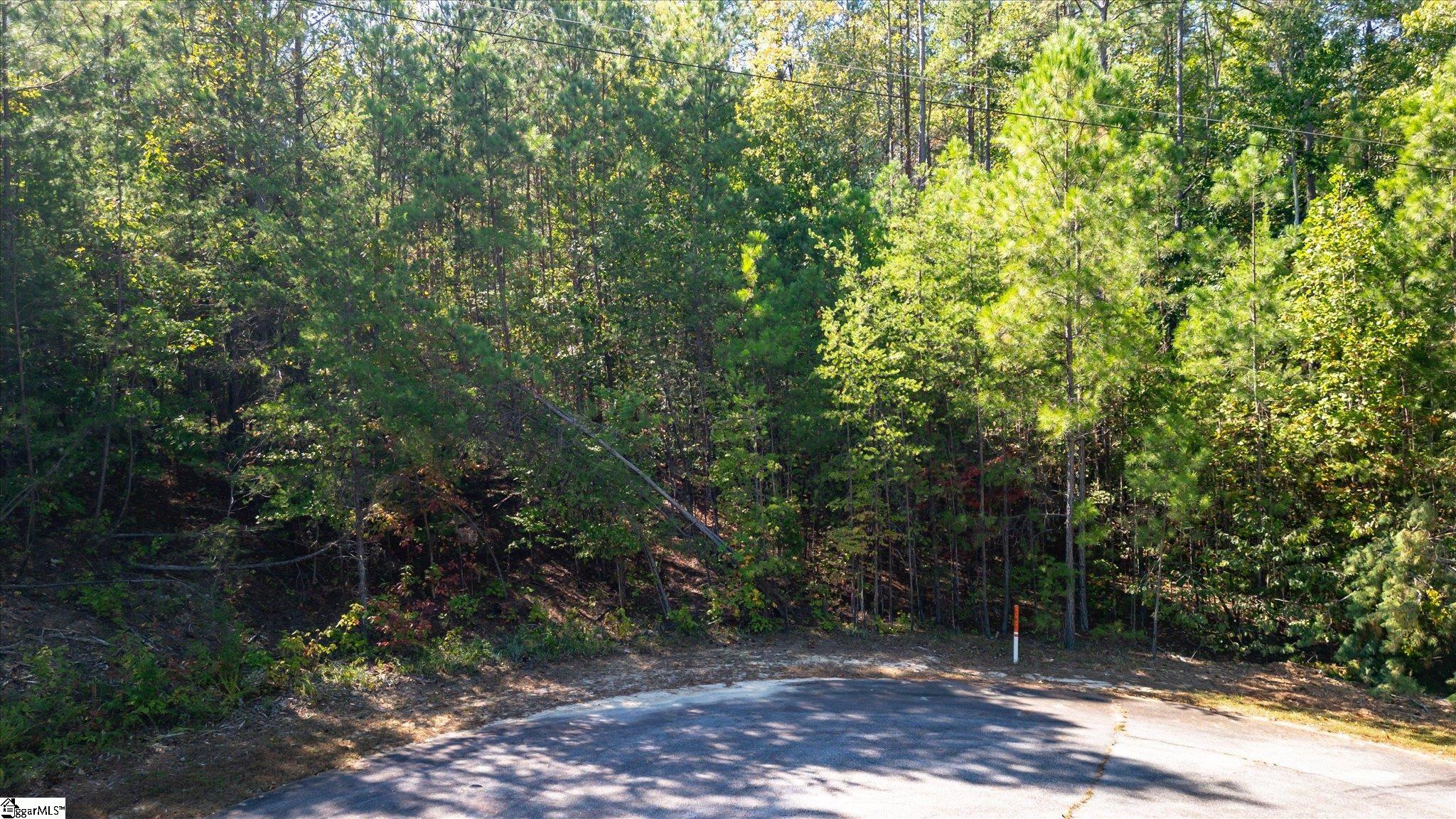 N34 Jocassee Ridge