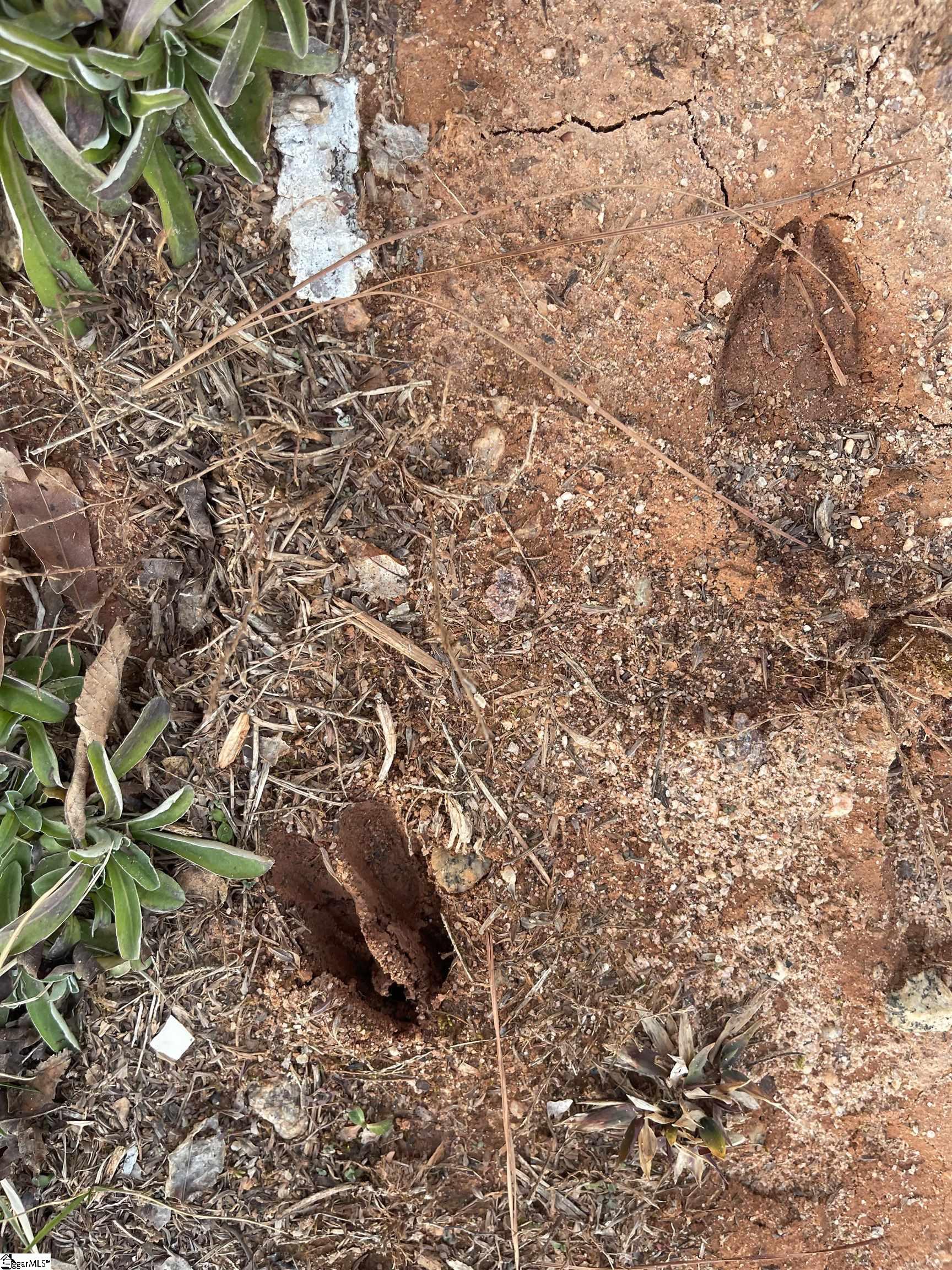 Laurens, South Carolina 29325, United States, 4 Bedrooms Bedrooms, ,2 BathroomsBathrooms,Residential,Contingent,9691