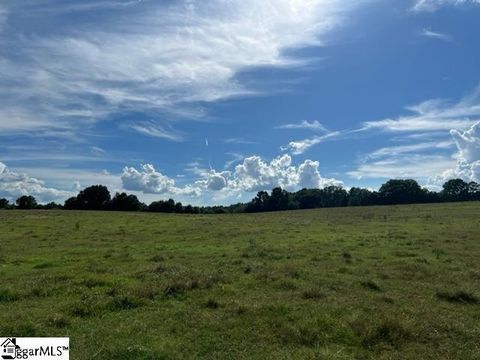 1324 Easy Road Laurens SC 29360