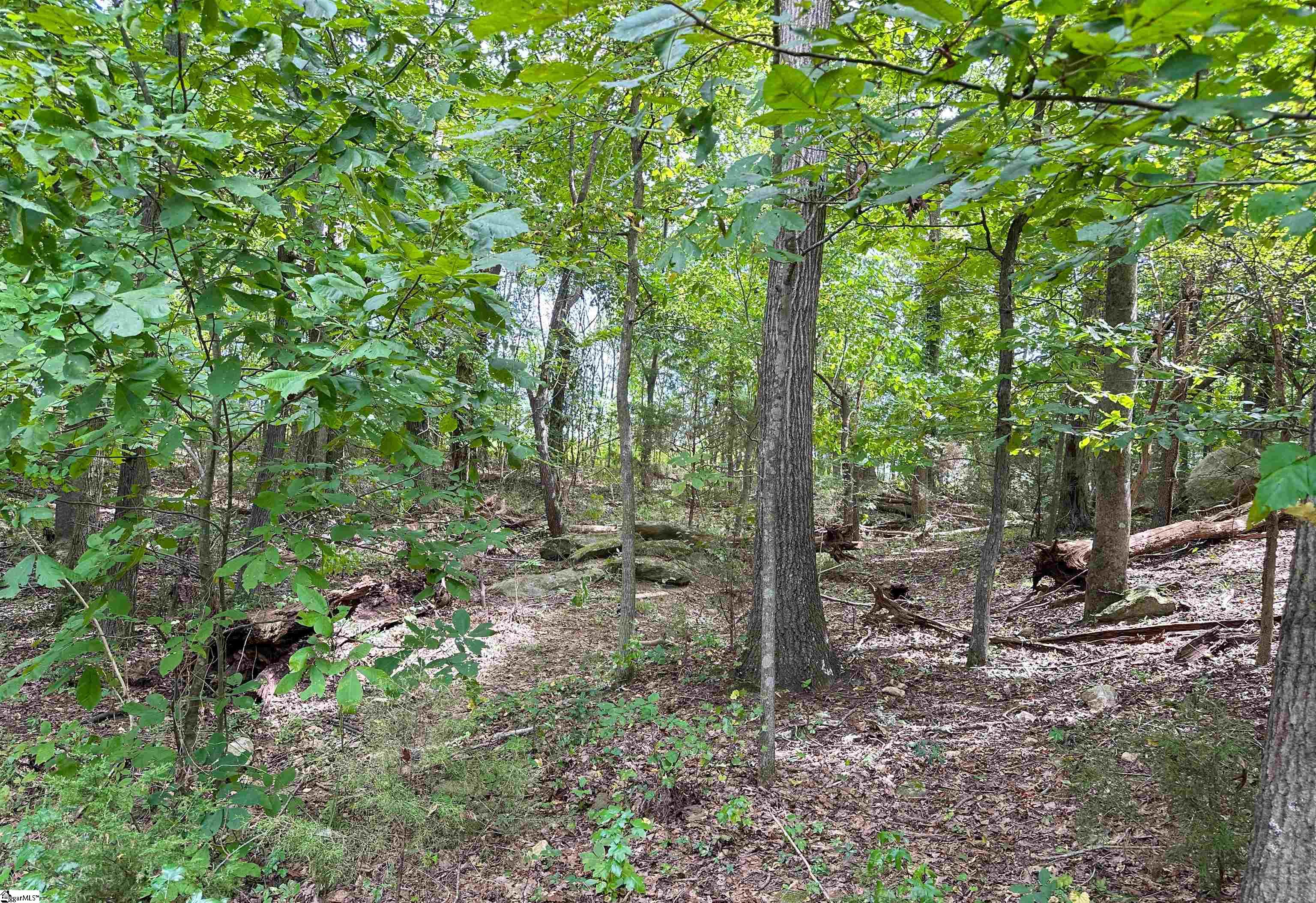 Simpsonville, South Carolina 29681, United States, ,Land,Active,51490