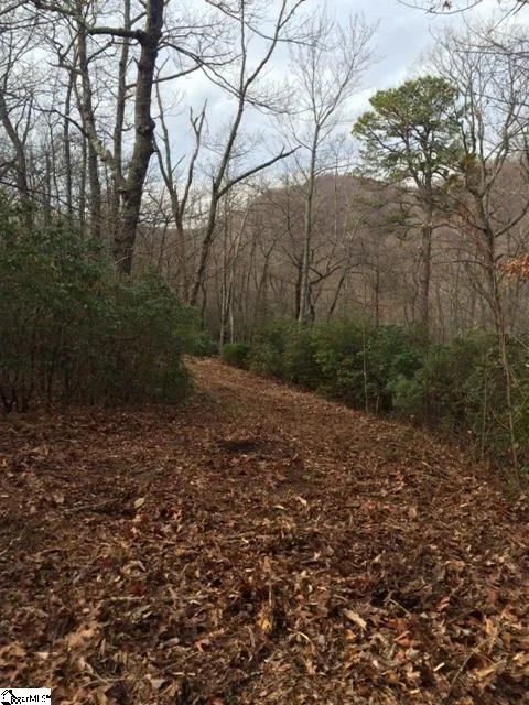 Panther Mountain Road Unit Lot 4