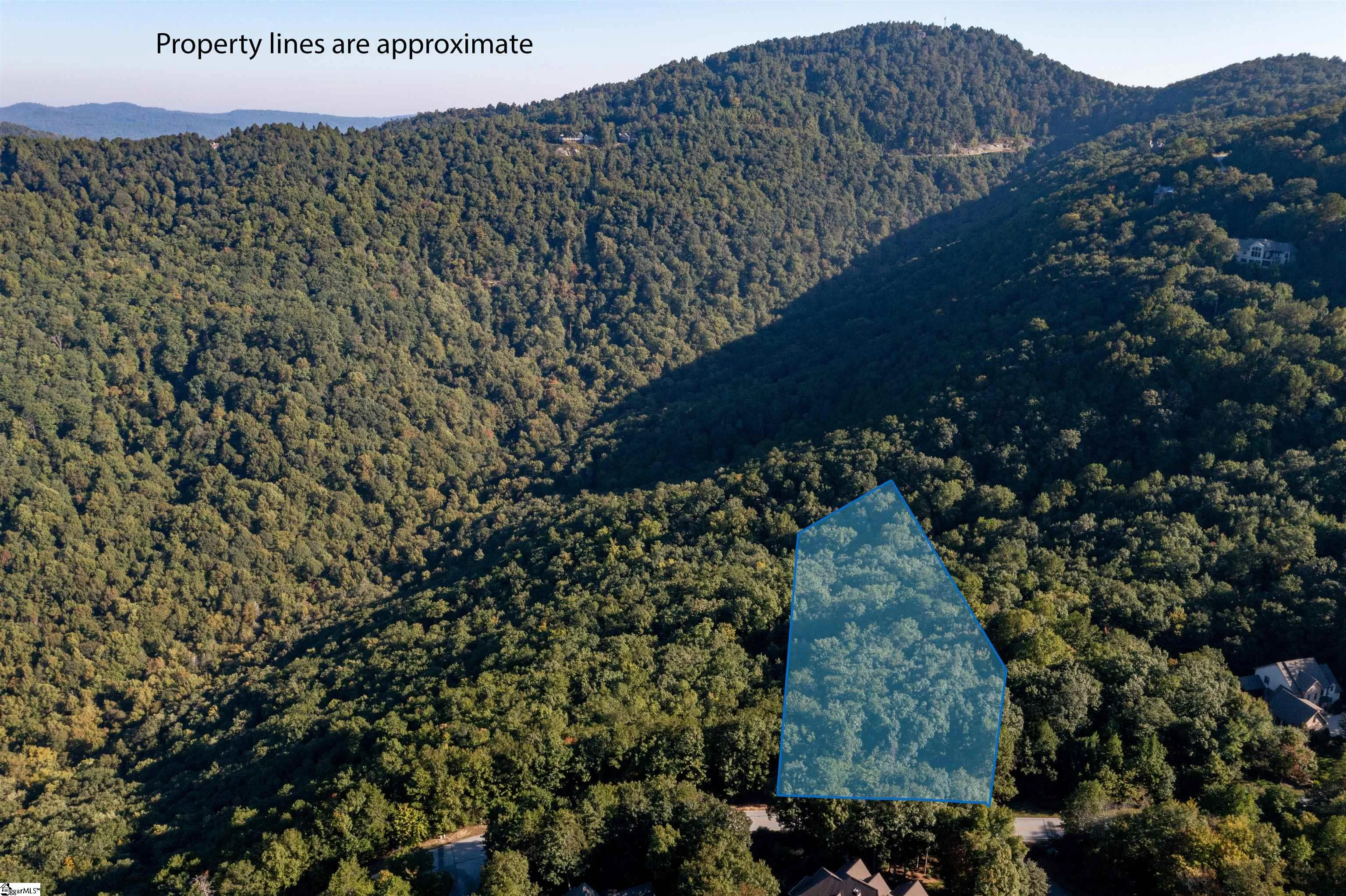 905 Mountain Summit Road