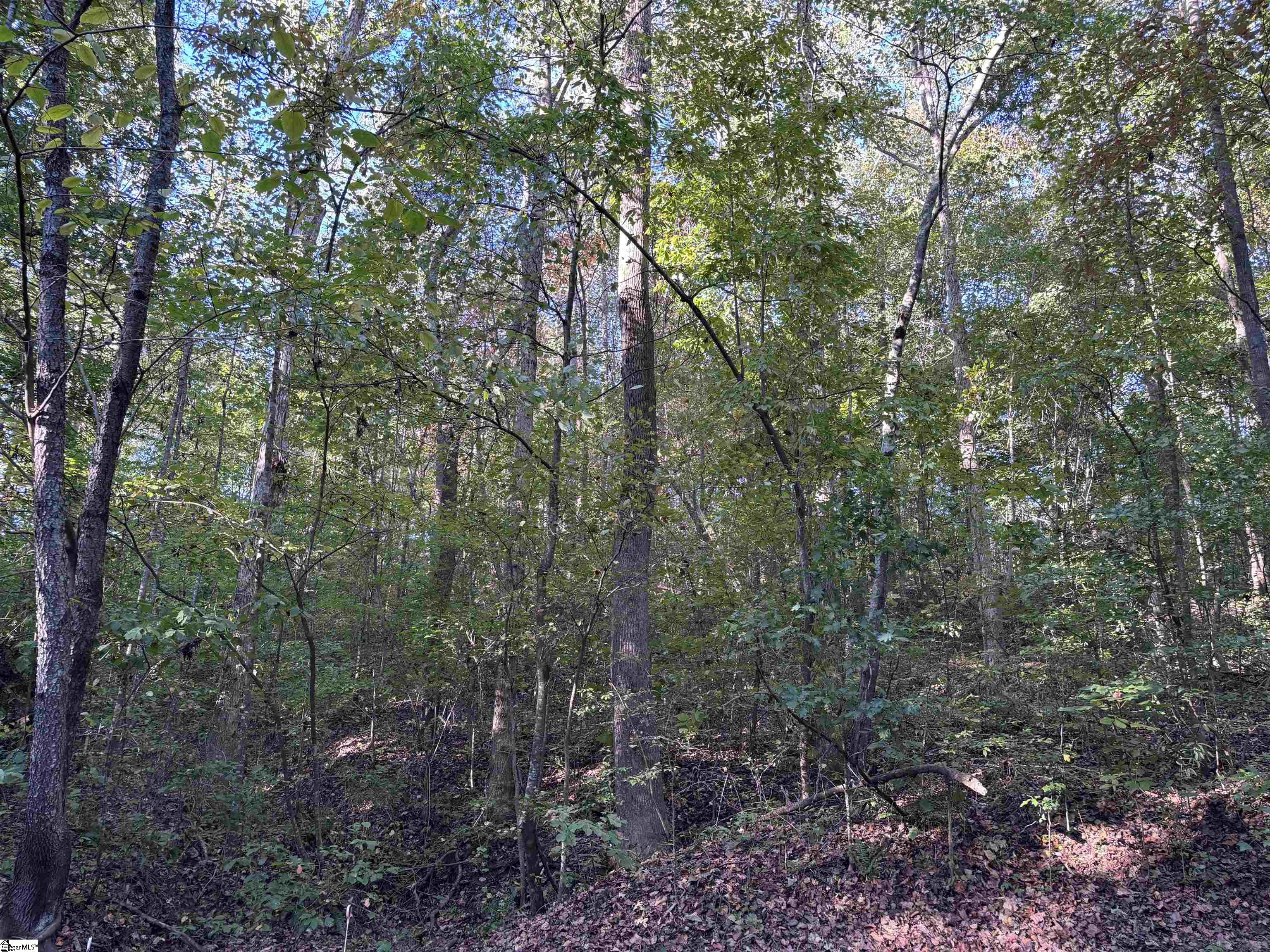 0 Parkview Drive