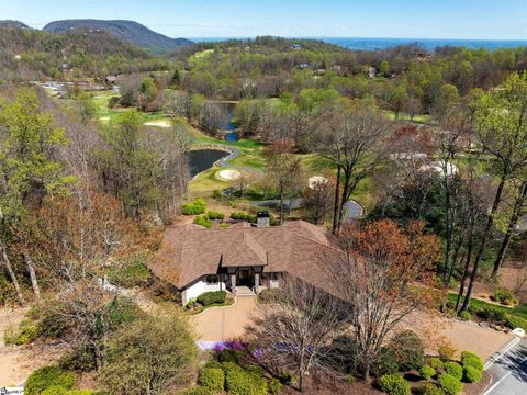 Single Family Residence in Landrum SC 2 New Dawn Court 35.jpg