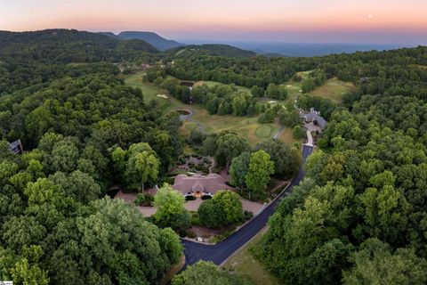 Single Family Residence in Landrum SC 2 New Dawn Court 32.jpg