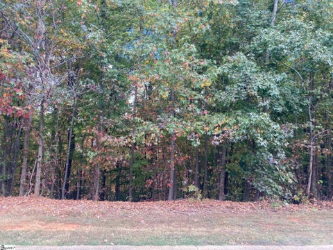 Photo for 232 Laurel Valley Way