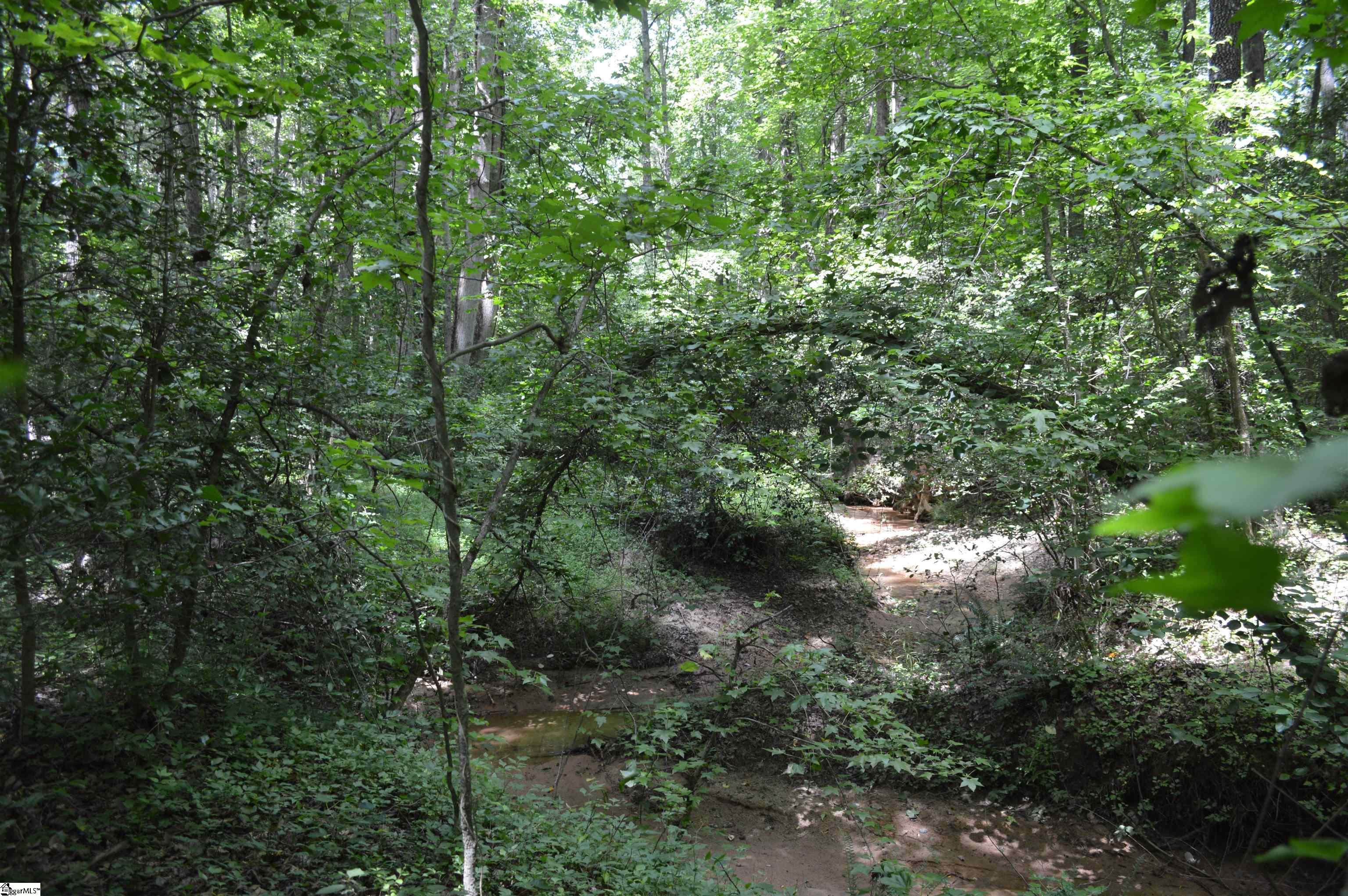 Photo 5 of 5 of 0 Laurel Knoll Trail land