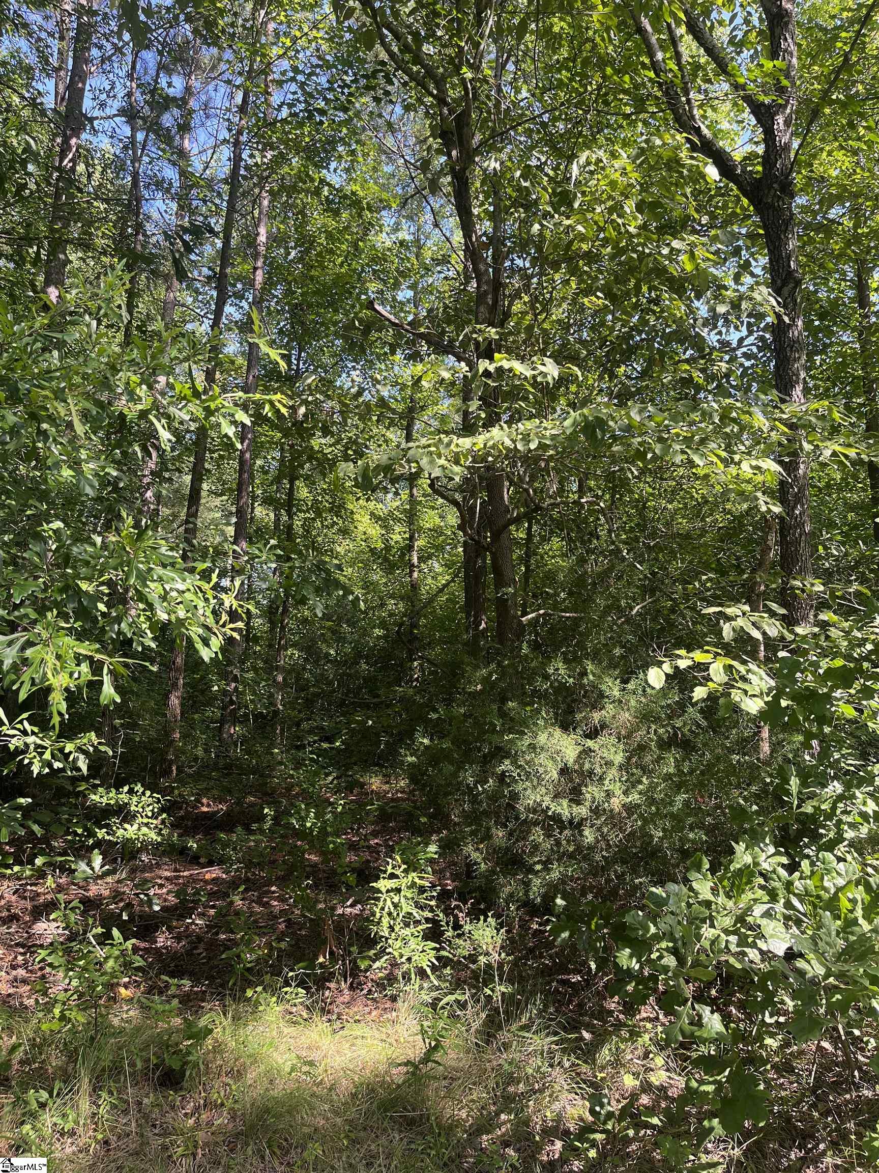 0 Pine Knoll Road