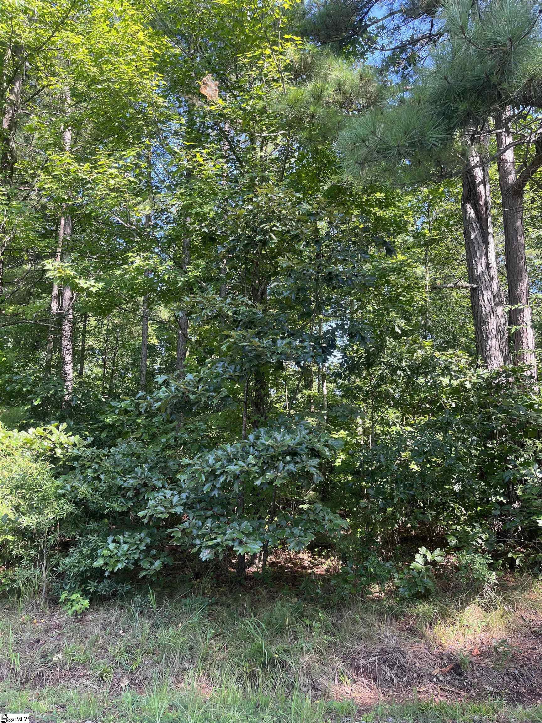 0 Pine Knoll Road
