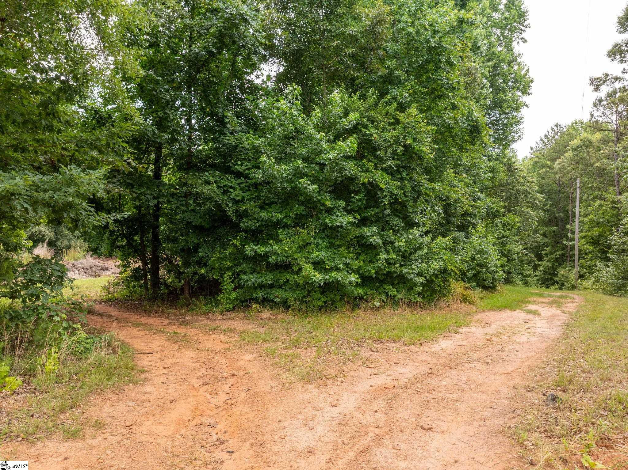 1350 Lee Cudd Road - Photo 4