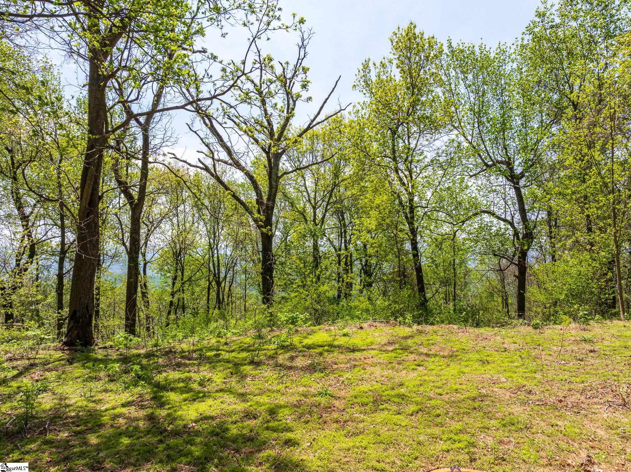 809 Plumley Summit Drive