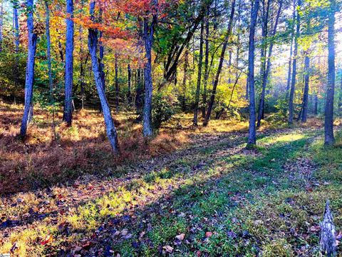 0 Craigo Road Fountain Inn SC 29644