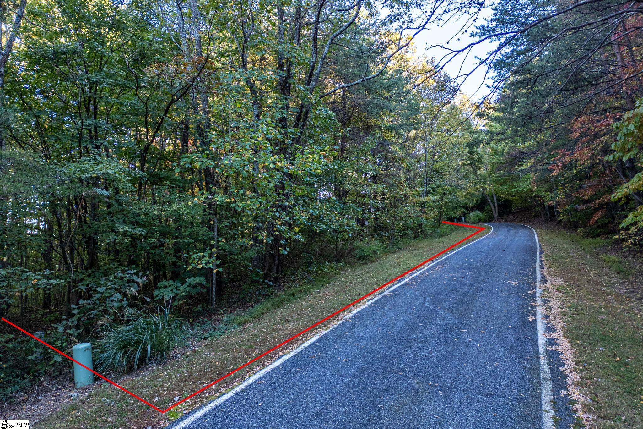 Landrum, South Carolina 29356, United States, ,Land,Active,232334