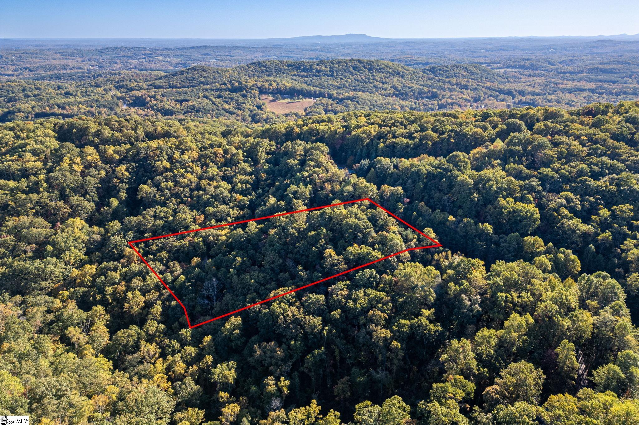 Landrum, South Carolina 29356, United States, ,Land,Active,232334