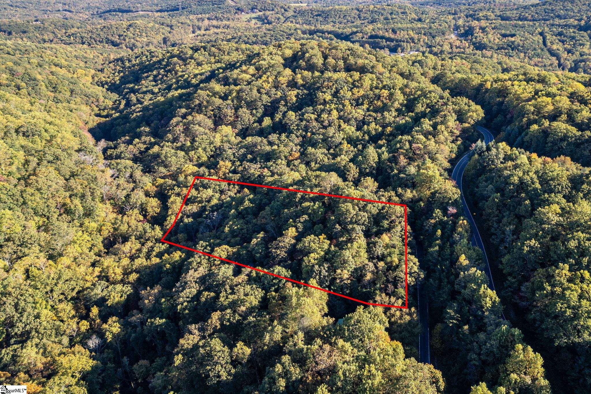 Landrum, South Carolina 29356, United States, ,Land,Active,232334