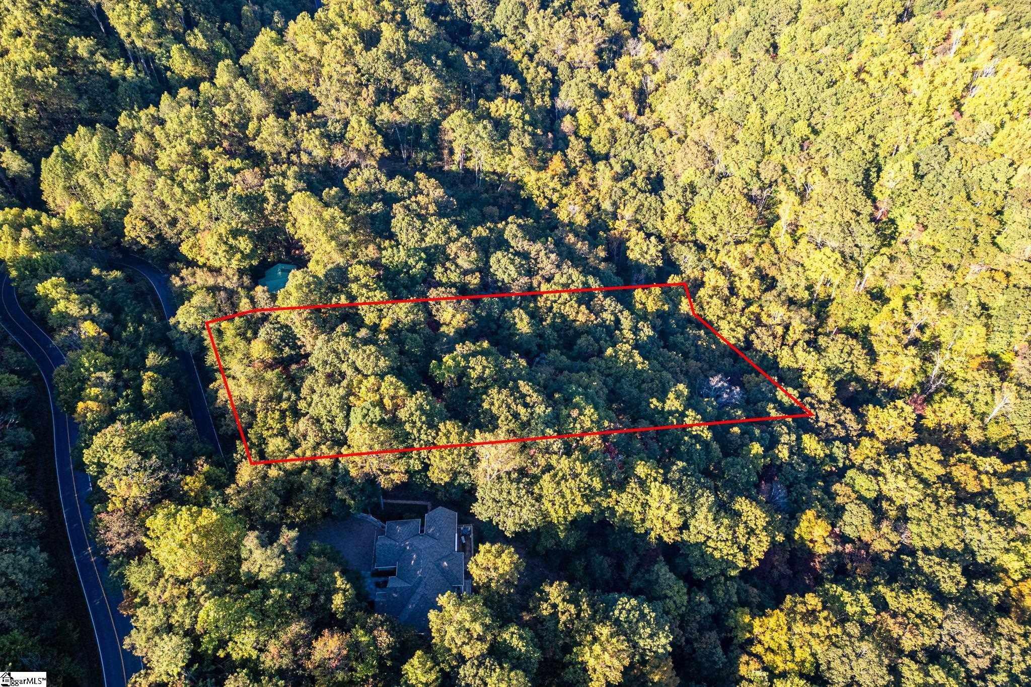 Landrum, South Carolina 29356, United States, ,Land,Active,232334