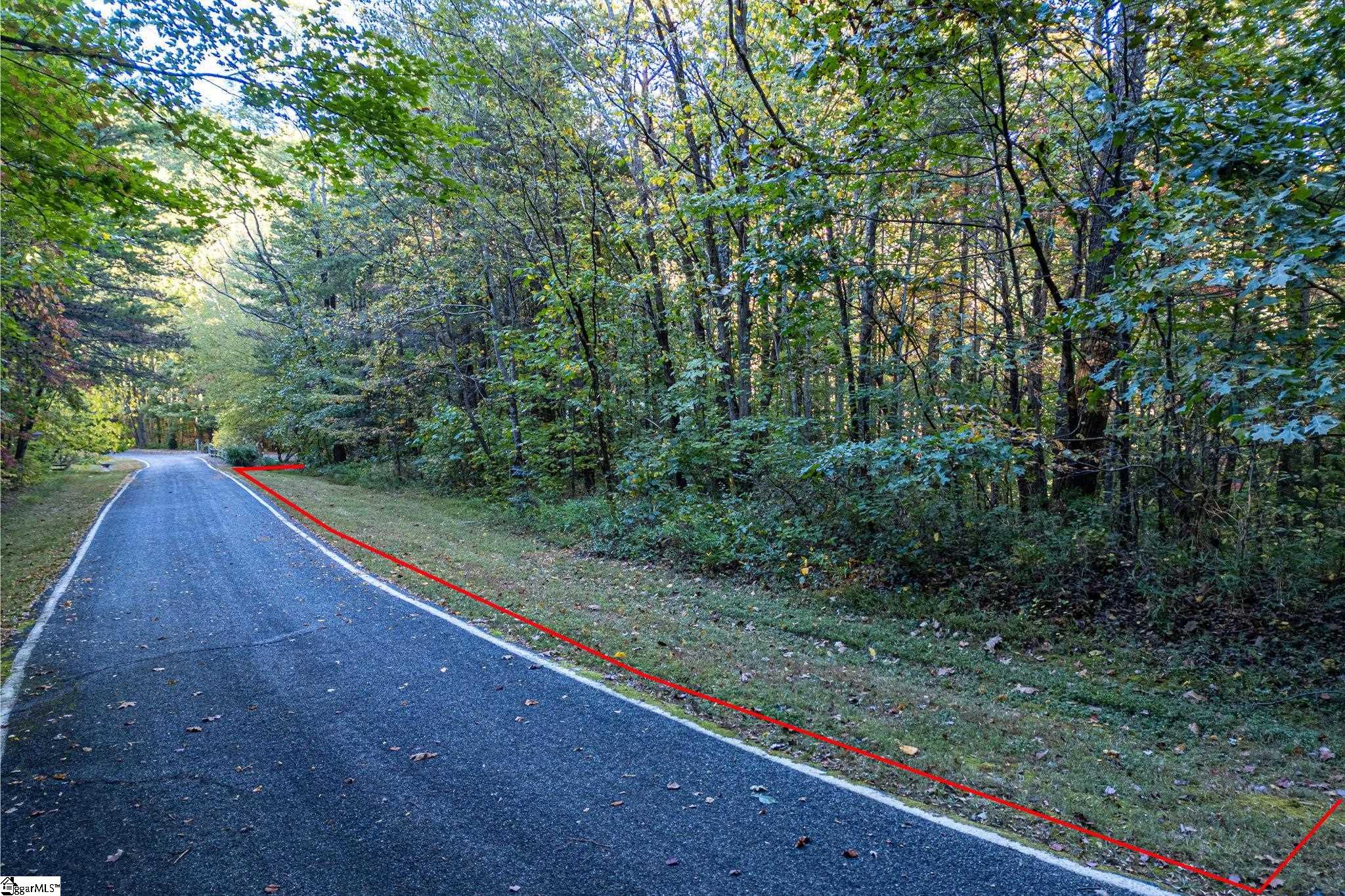 Landrum, South Carolina 29356, United States, ,Land,Active,232334