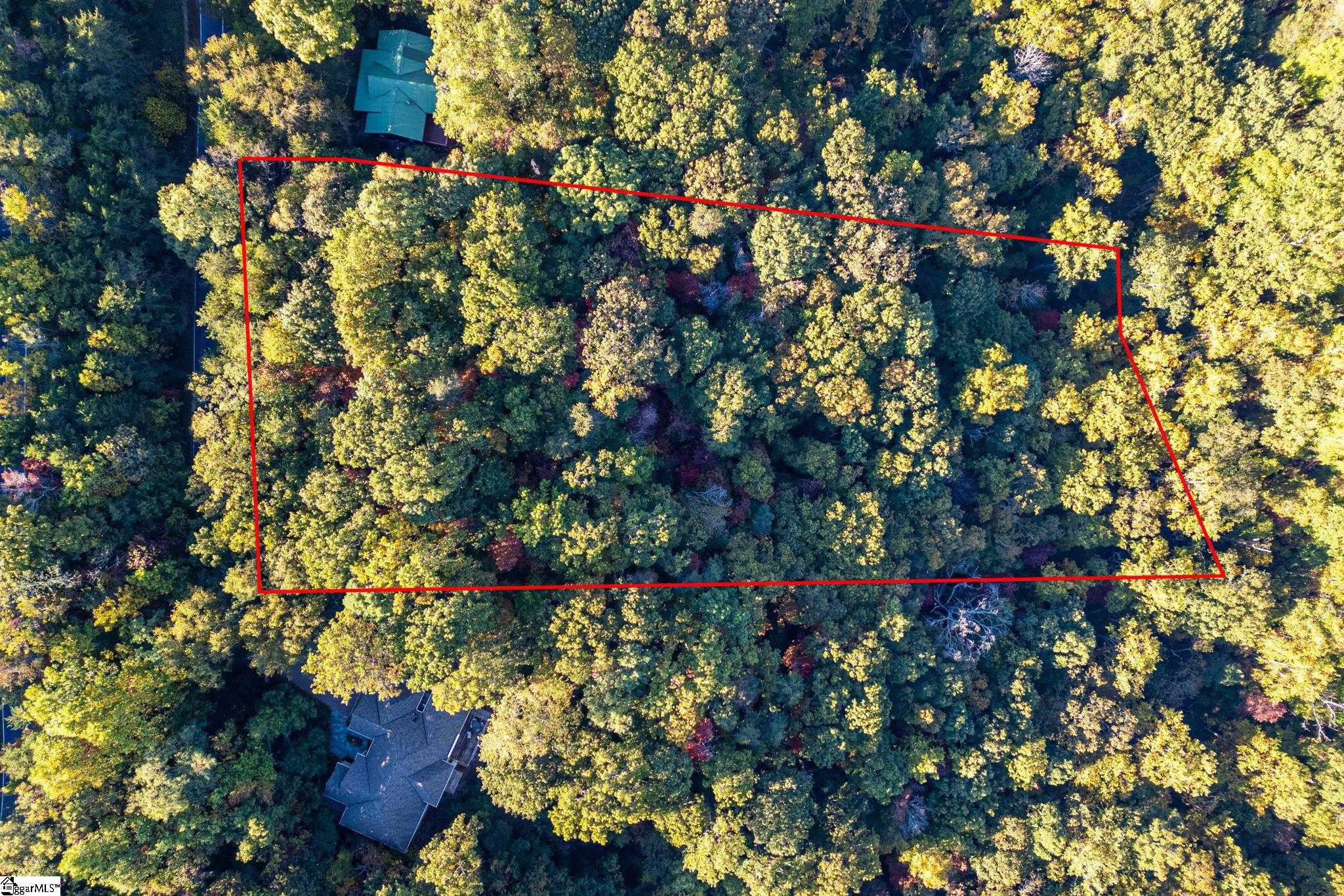 Landrum, South Carolina 29356, United States, ,Land,Active,232334