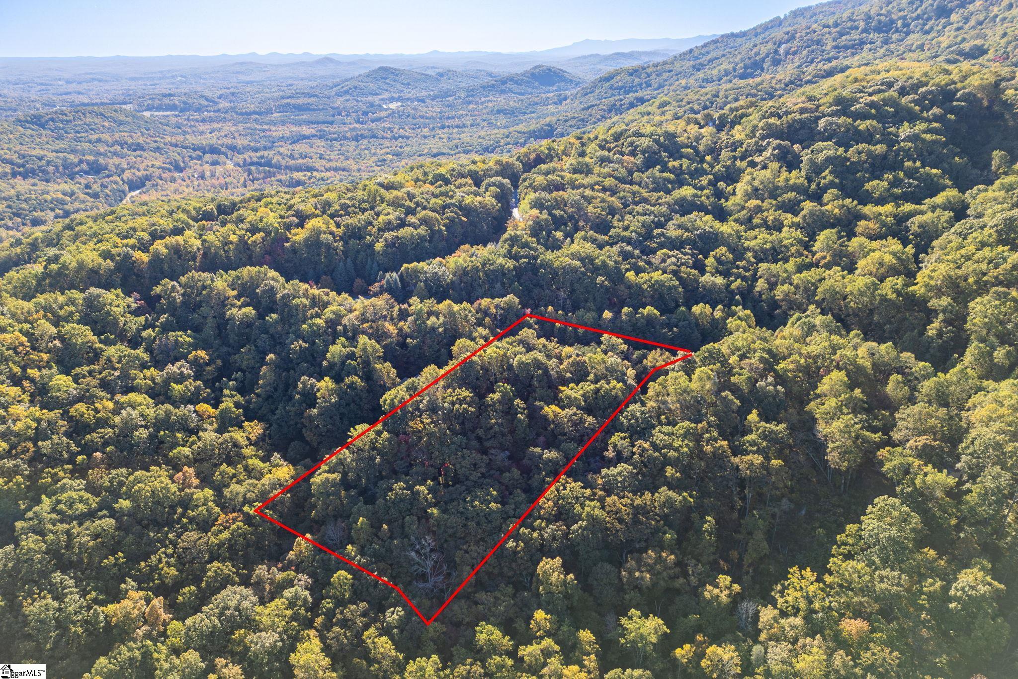 Landrum, South Carolina 29356, United States, ,Land,Active,232334