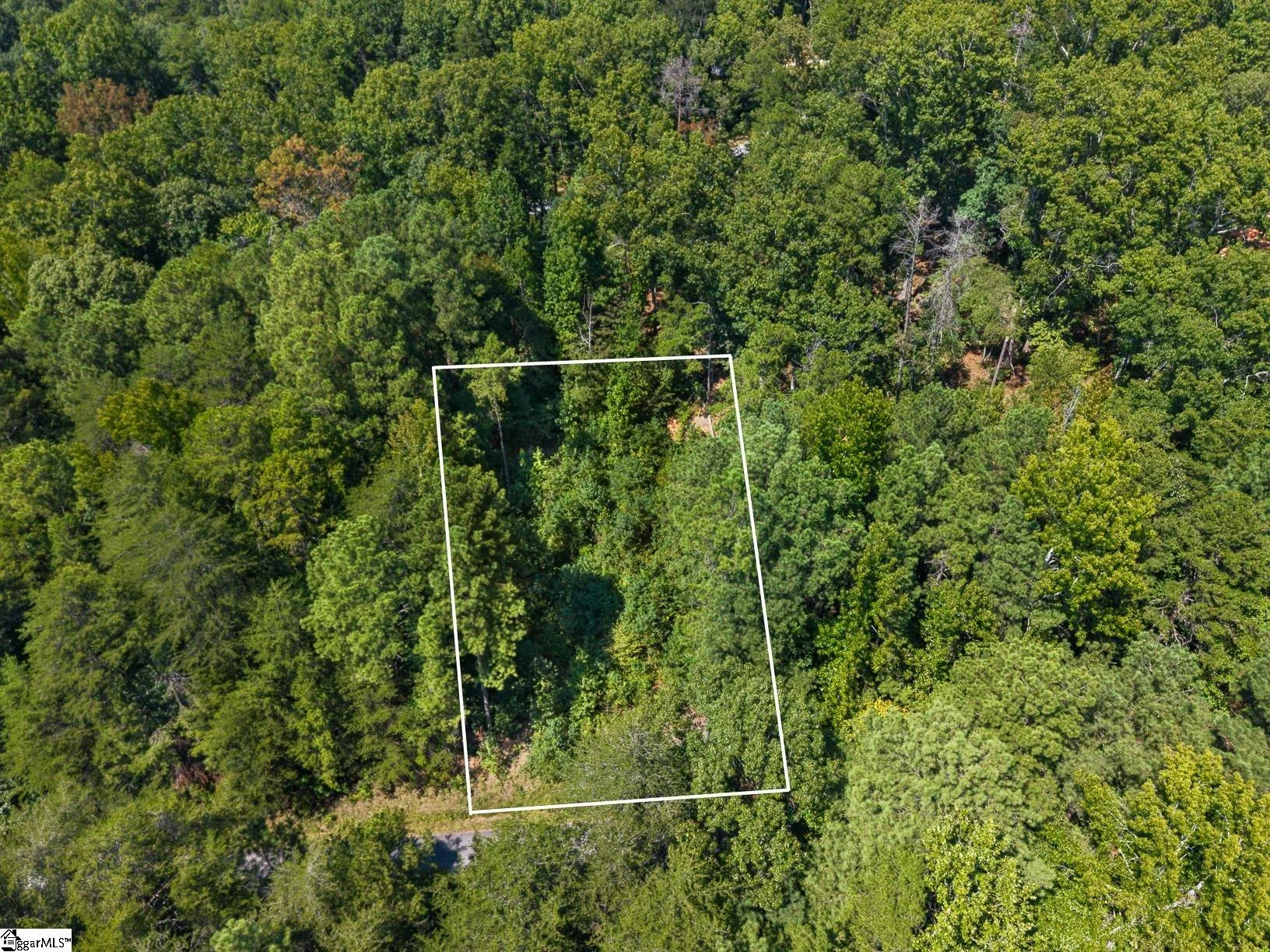 132 E Spartan Drive
