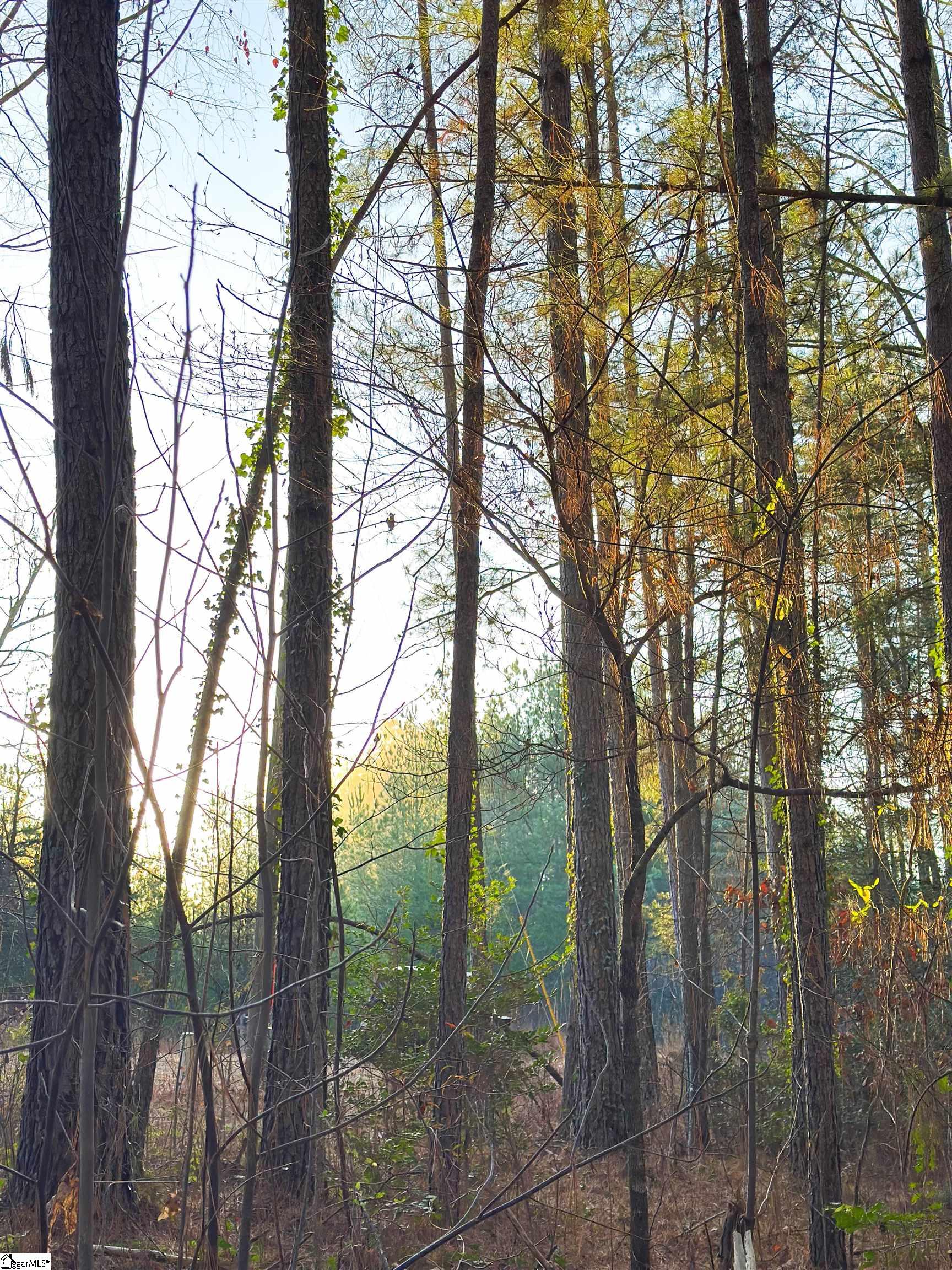 535 N Little River Road