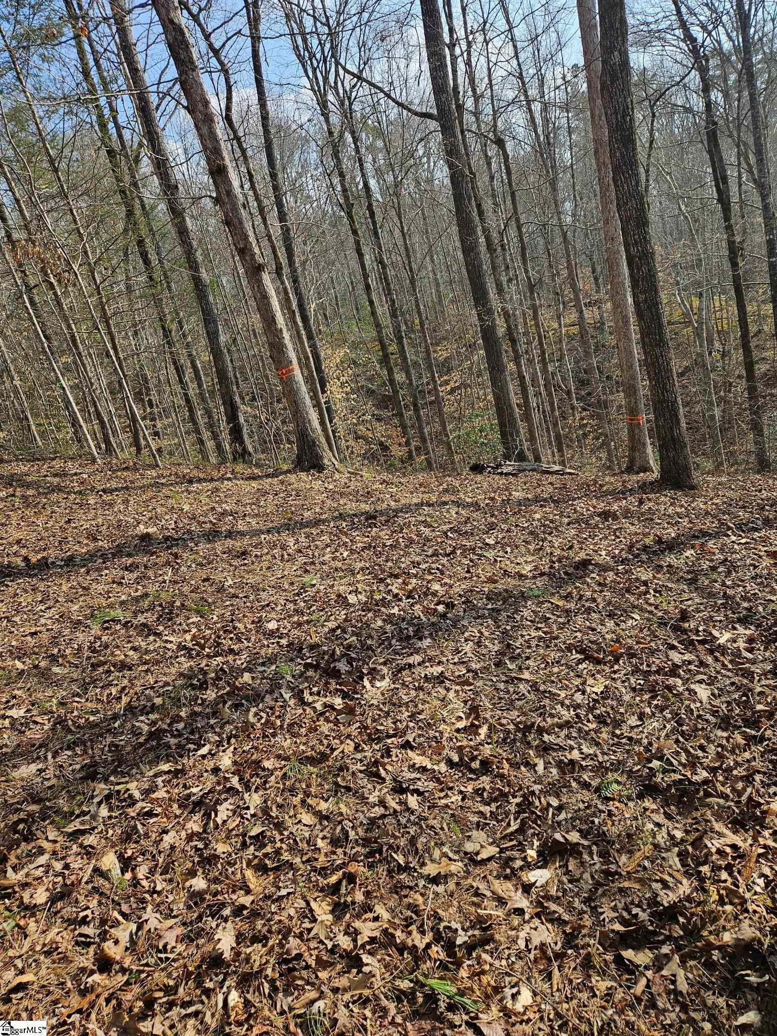 Lot 43 Deerchase Court