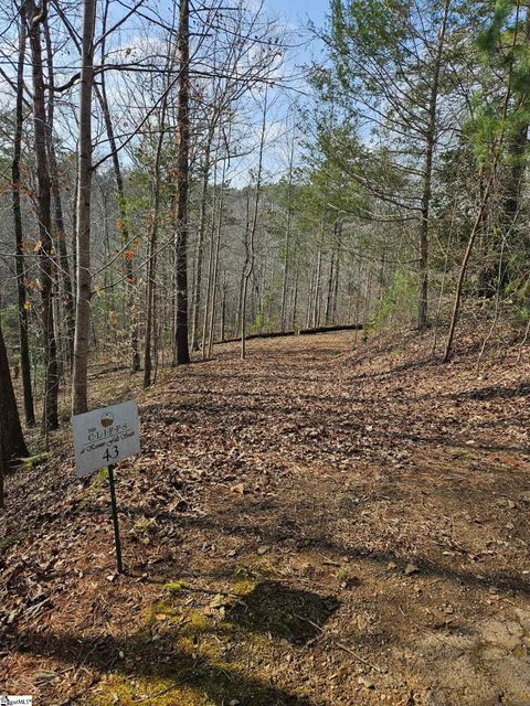 Lot 43 Deerchase Court Salem SC 29676
