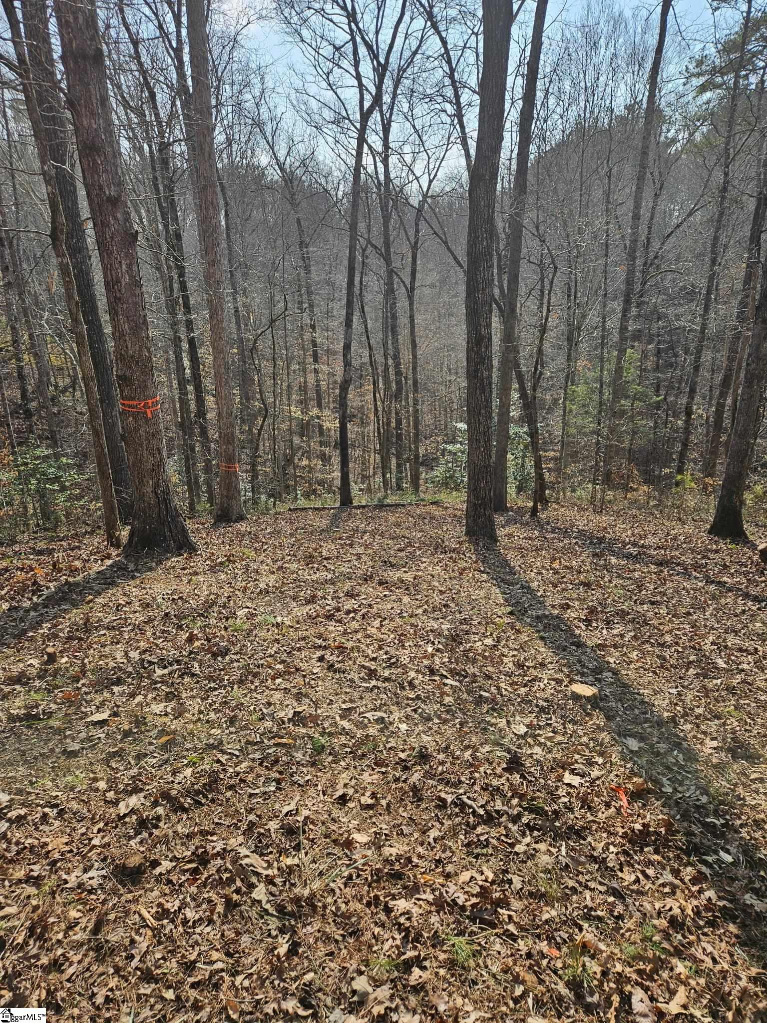 Lot 43 Deerchase Court