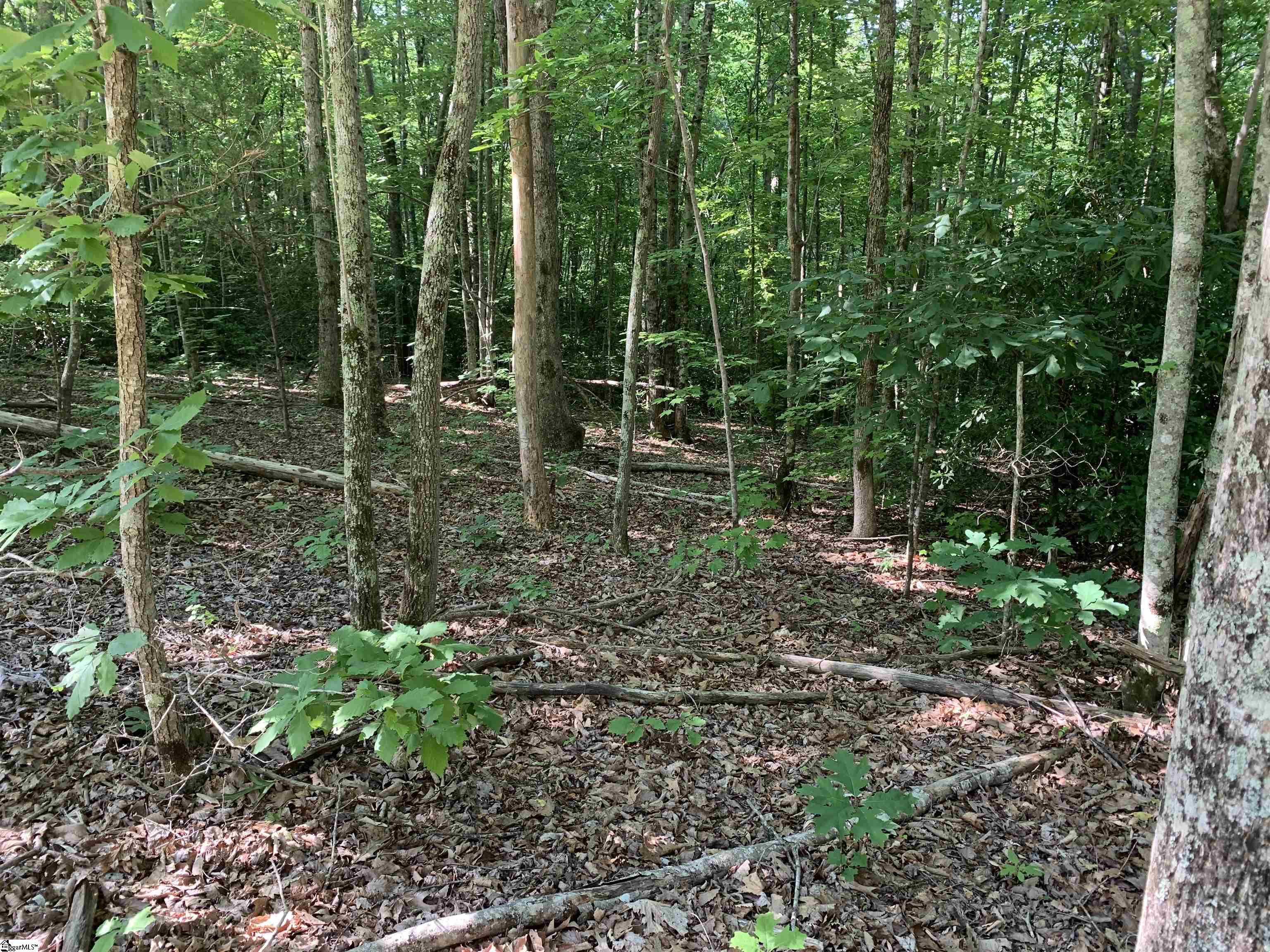 1337 Chinquapin Road