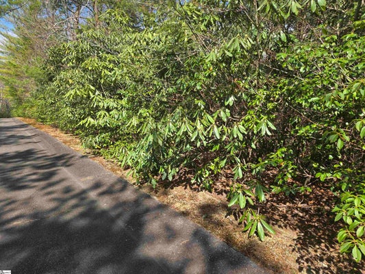 17 CLIFF RIDGE DR, CLEVELAND, SC 29635 - Image 0cd8e5babc00a0299f3a313a1952bd47/1855419019