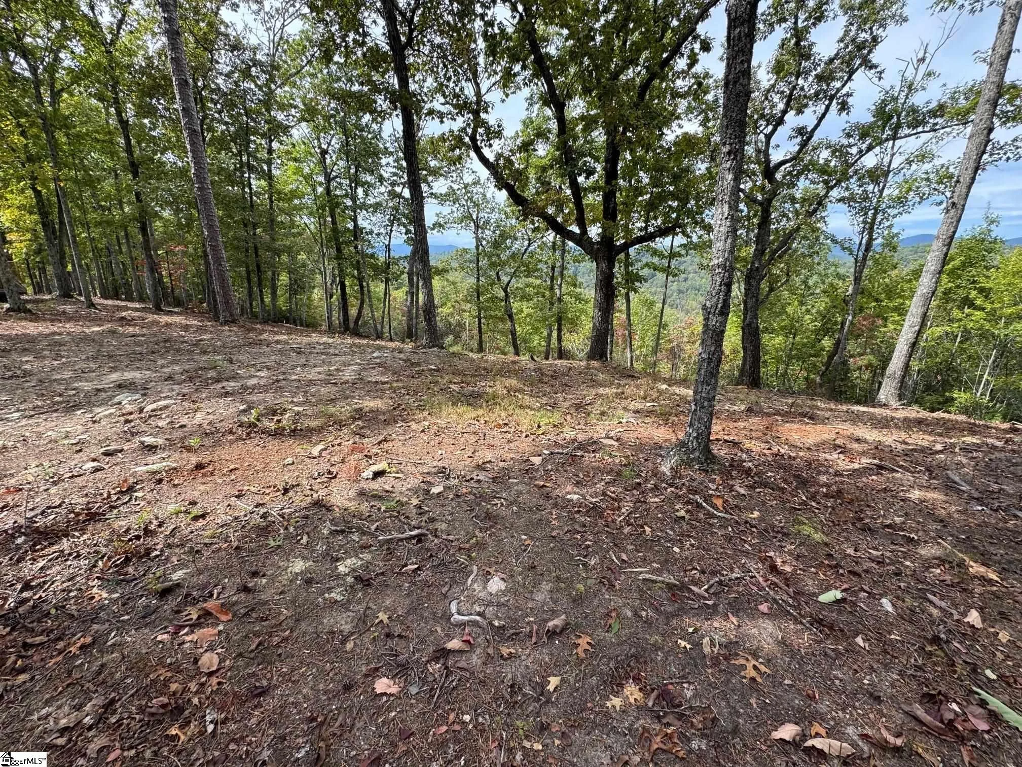 220 Blue Bonnet Trail