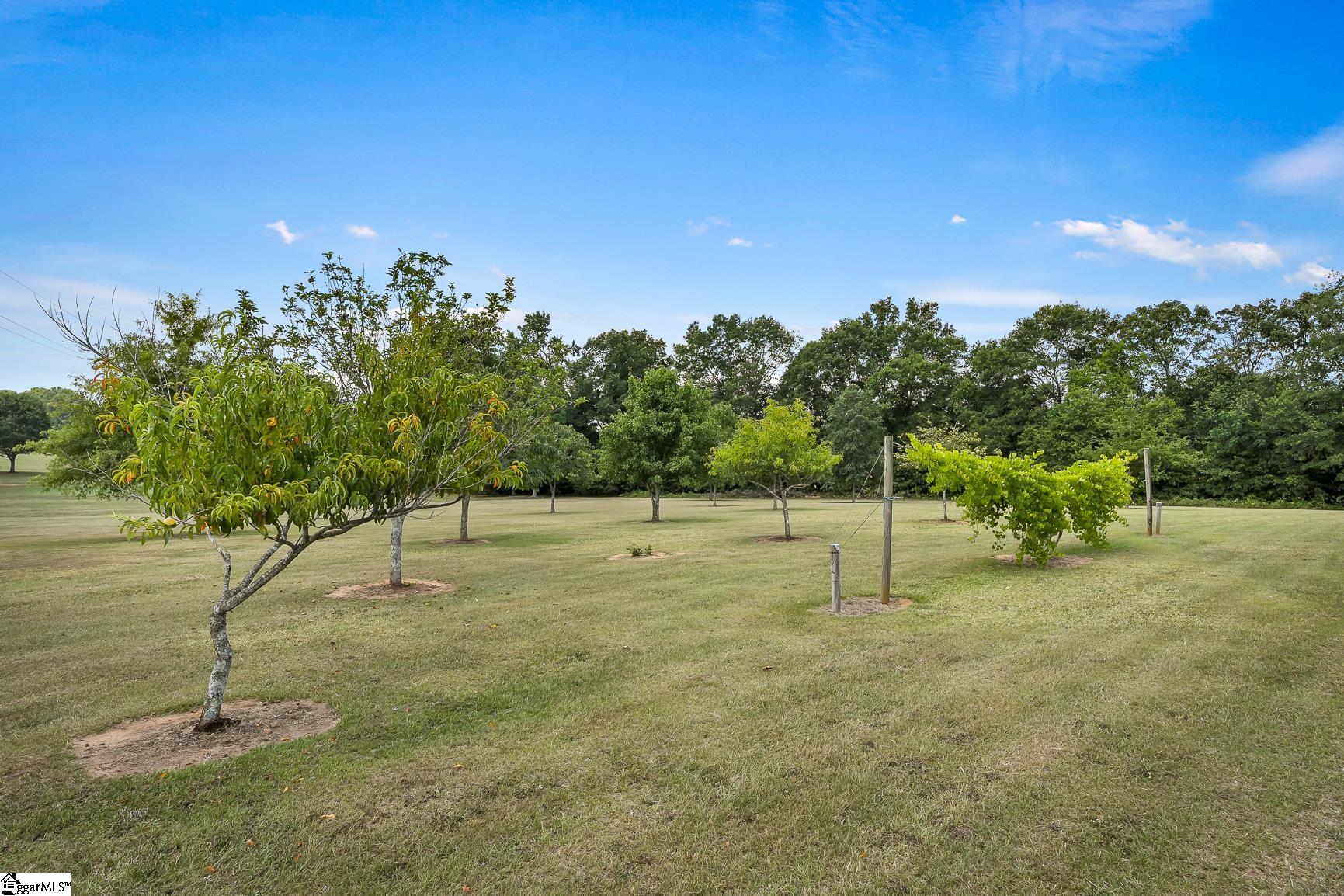 Anderson, South Carolina 29626, United States, 3 Bedrooms Bedrooms, ,3 BathroomsBathrooms,Residential,Active,178805