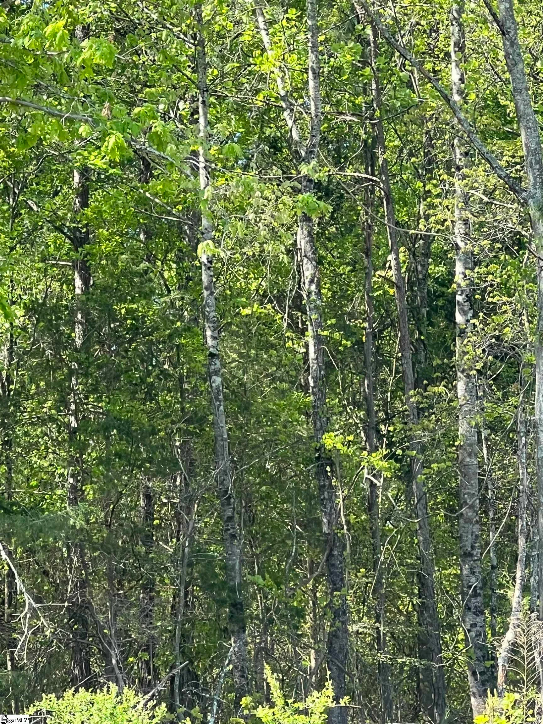 00 Woodfin Road