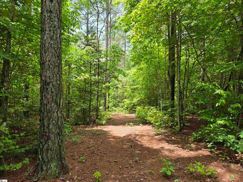 8 Belk Road Travelers Rest SC 29690