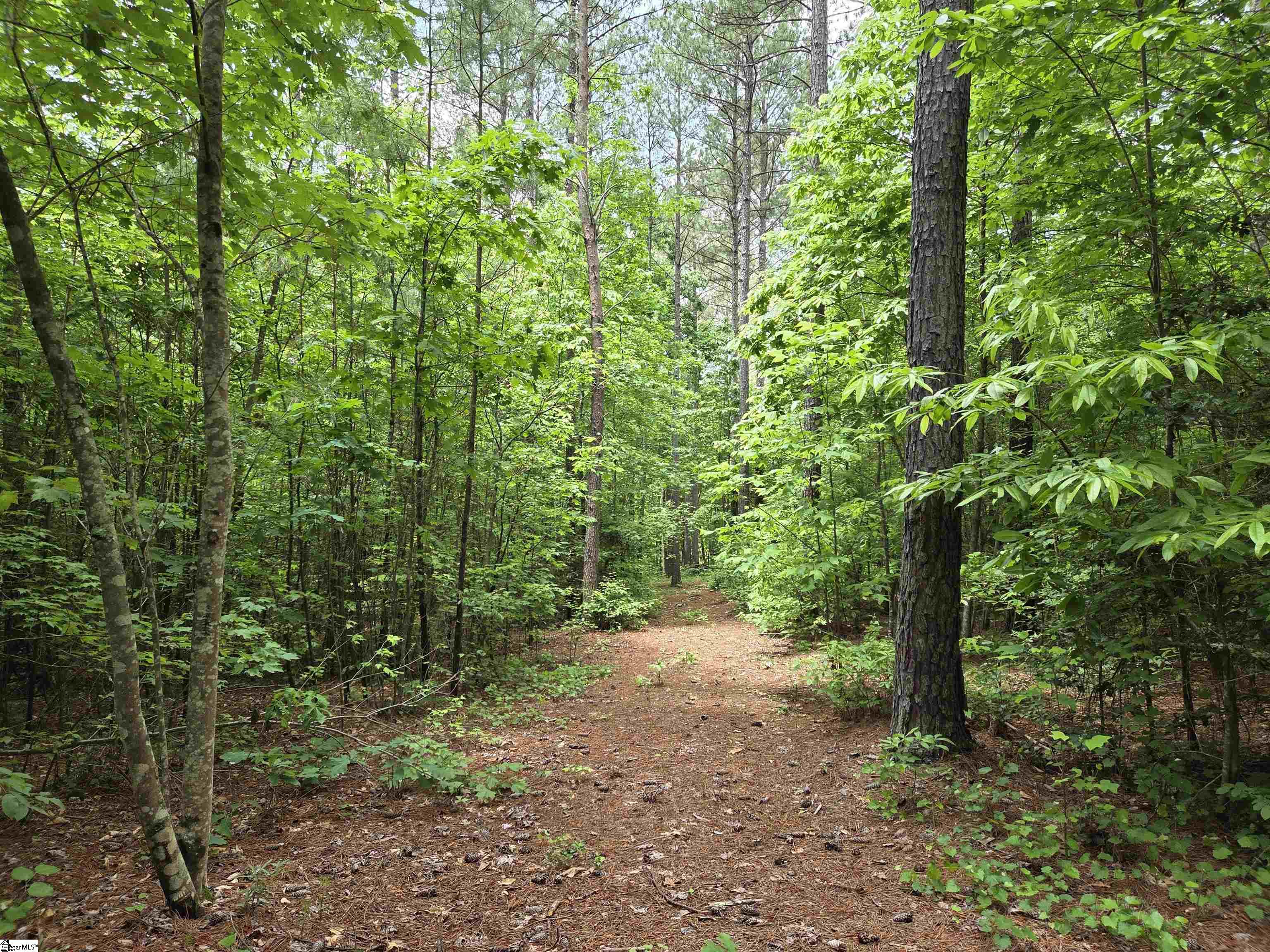 8 Belk Road
